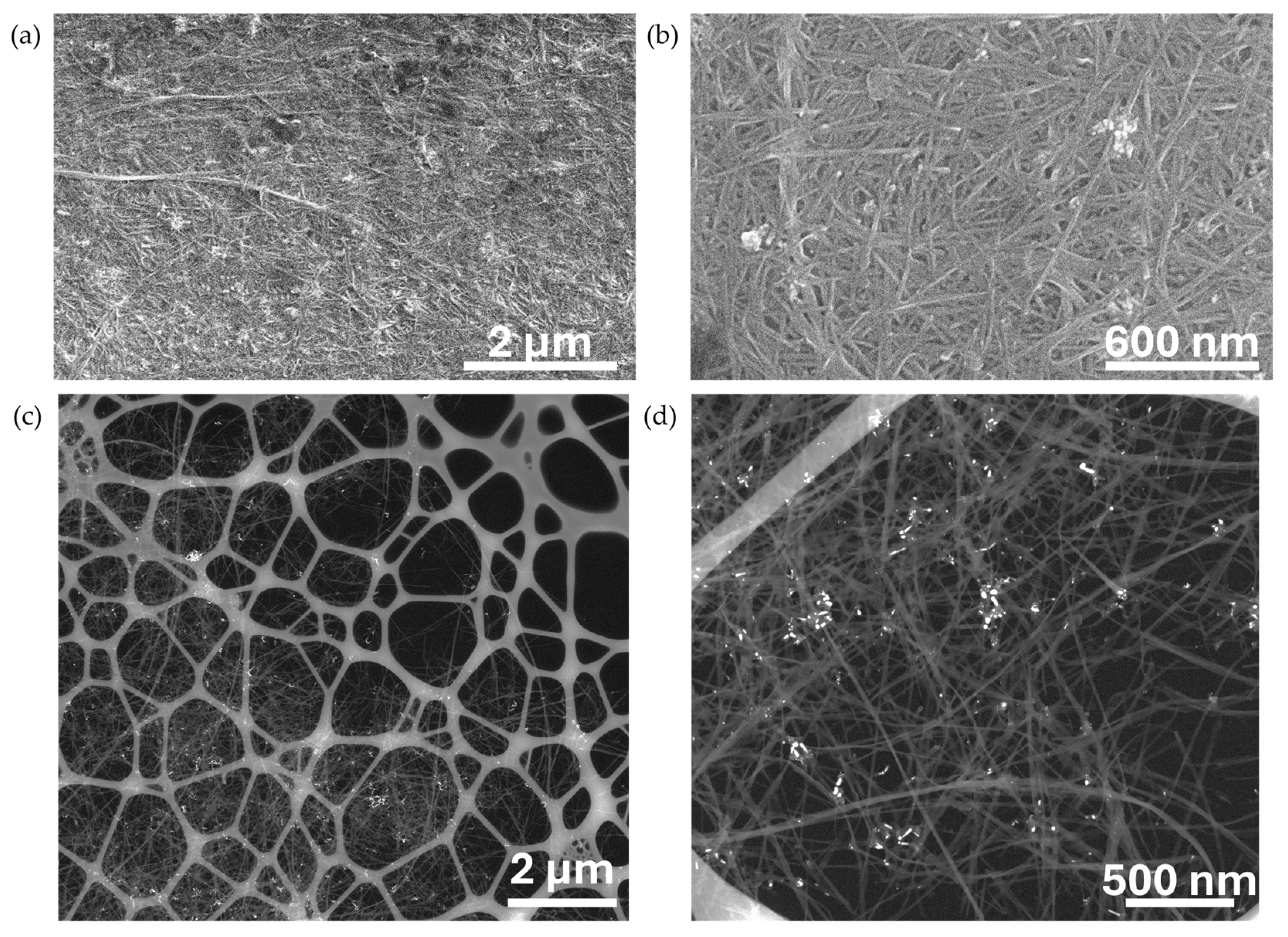 Coatings 15 01487 g003 Coatings 15 01487 g003