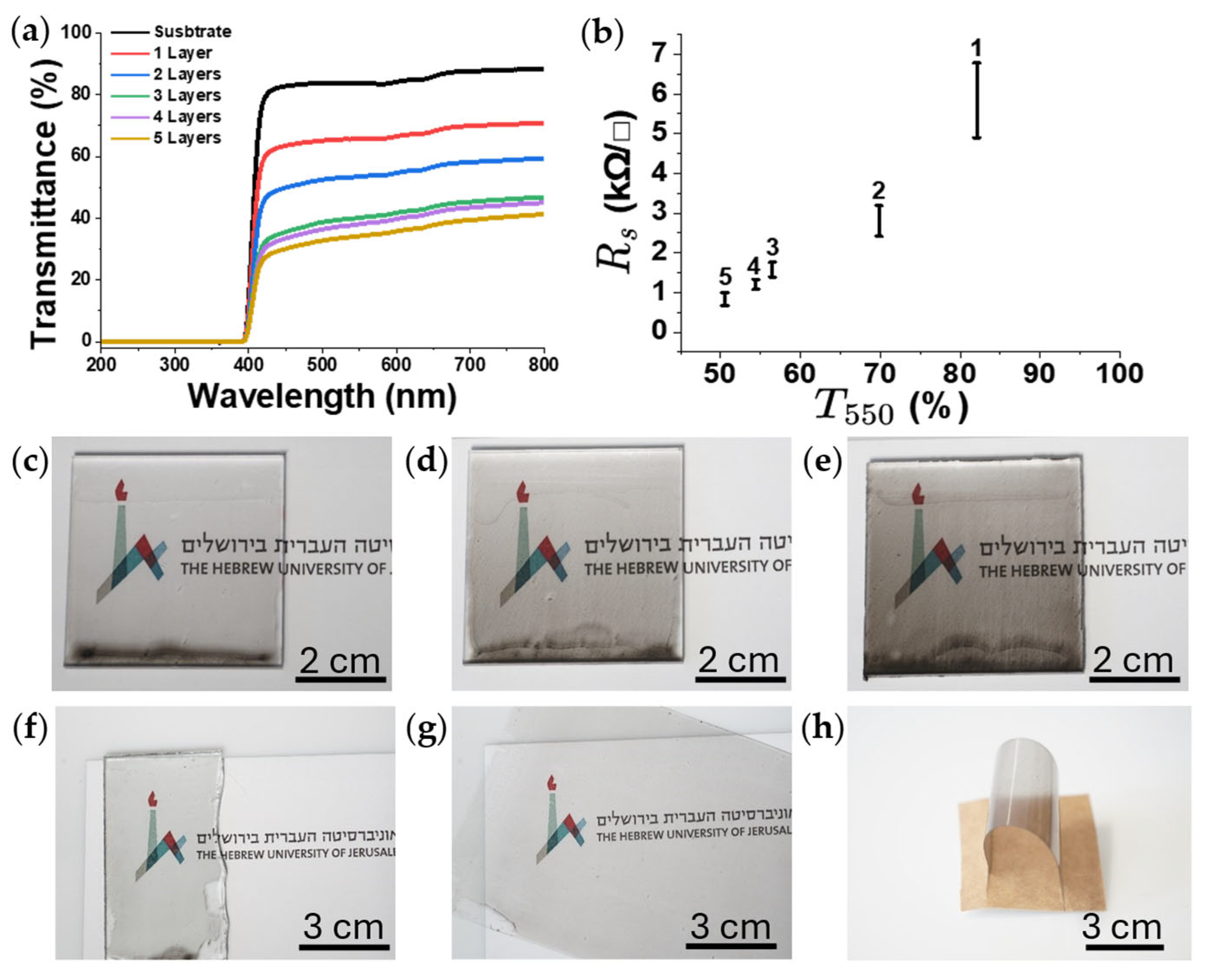 Coatings 15 01487 g004 Coatings 15 01487 g004
