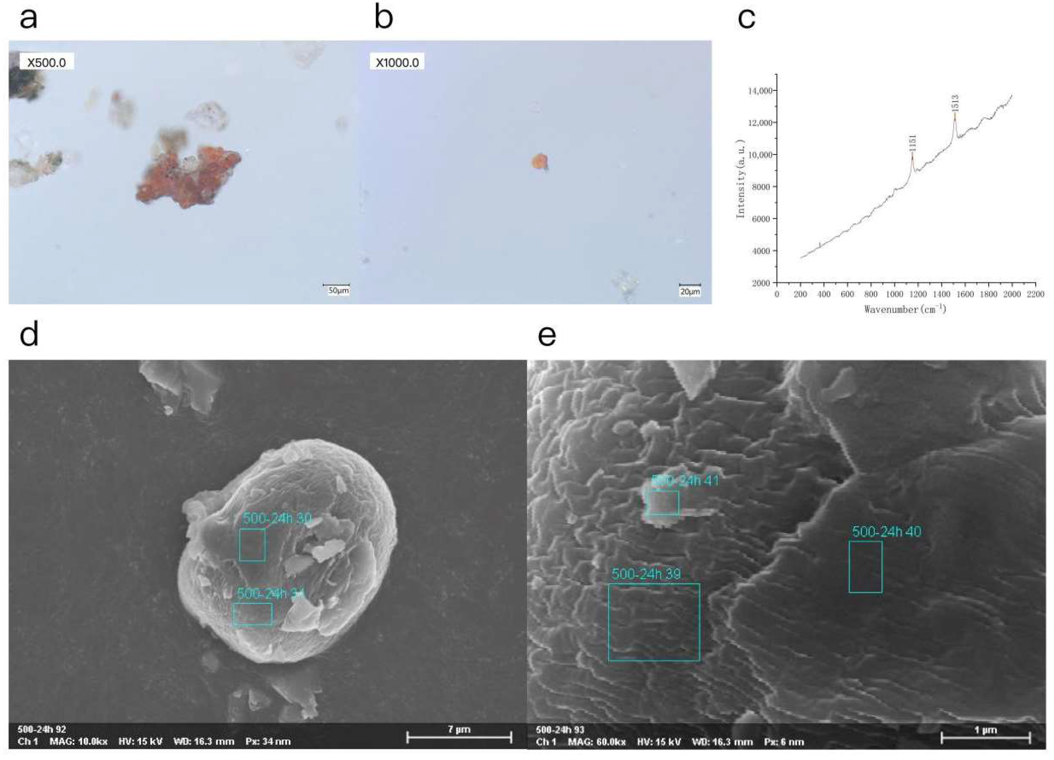 Coatings 15 01488 g002 Coatings 15 01488 g002