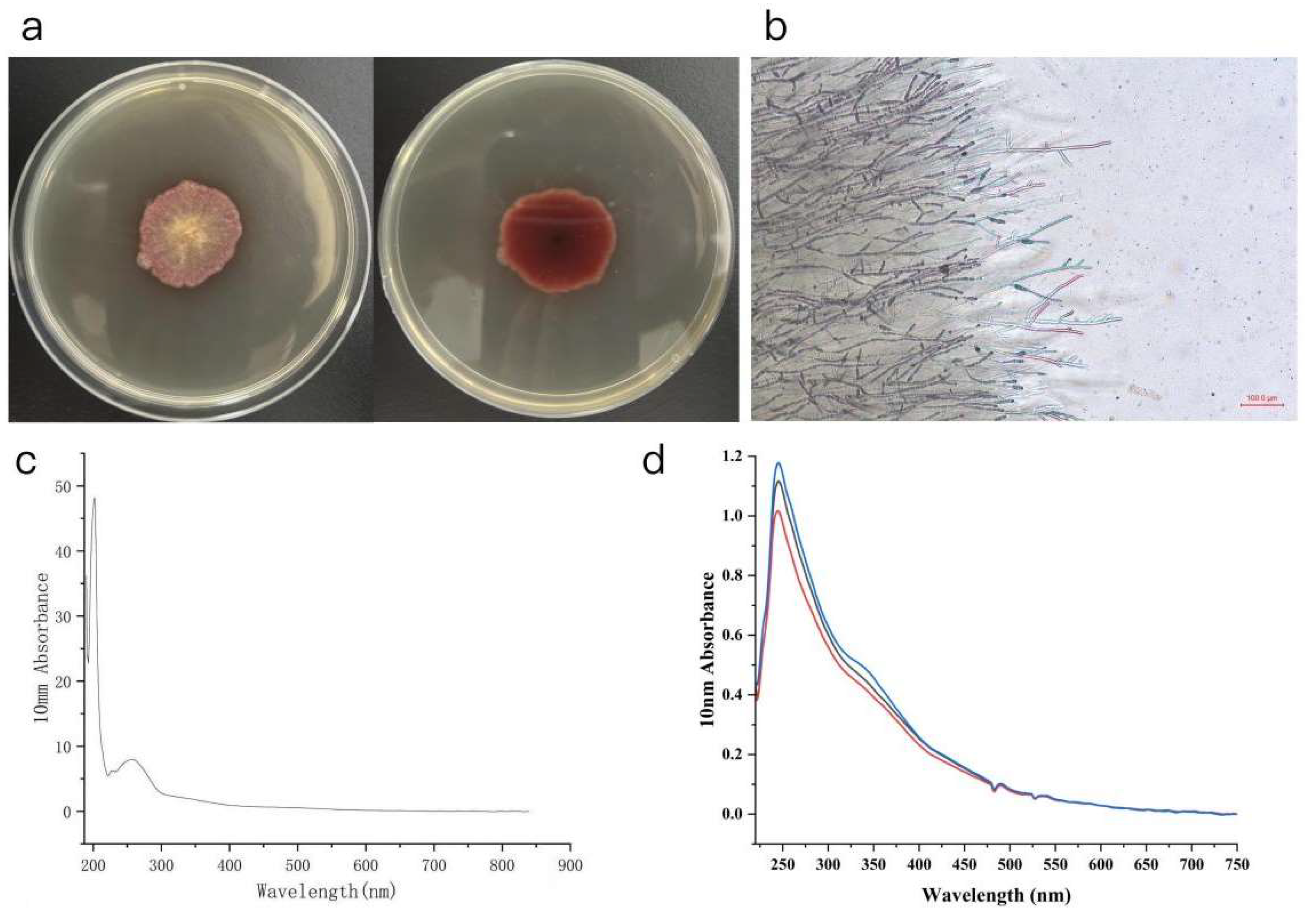 Coatings 15 01488 g003 Coatings 15 01488 g003