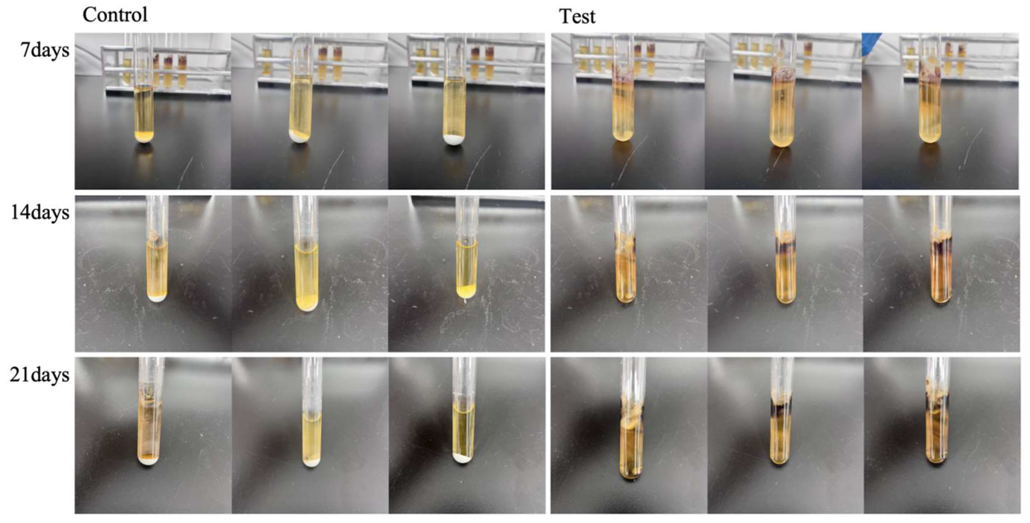 Coatings 15 01488 g004 Coatings 15 01488 g004