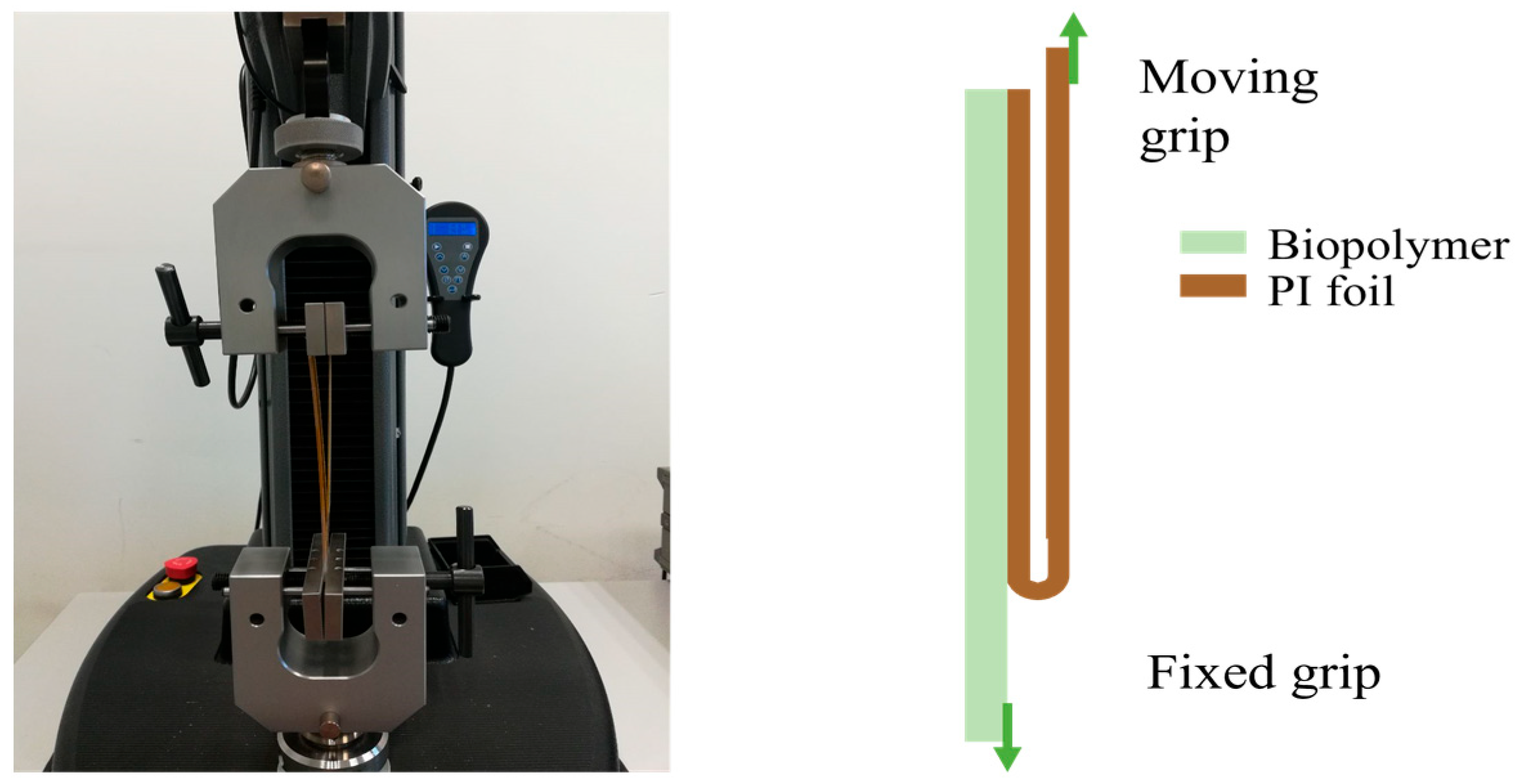 Coatings 15 01489 g003 Coatings 15 01489 g003