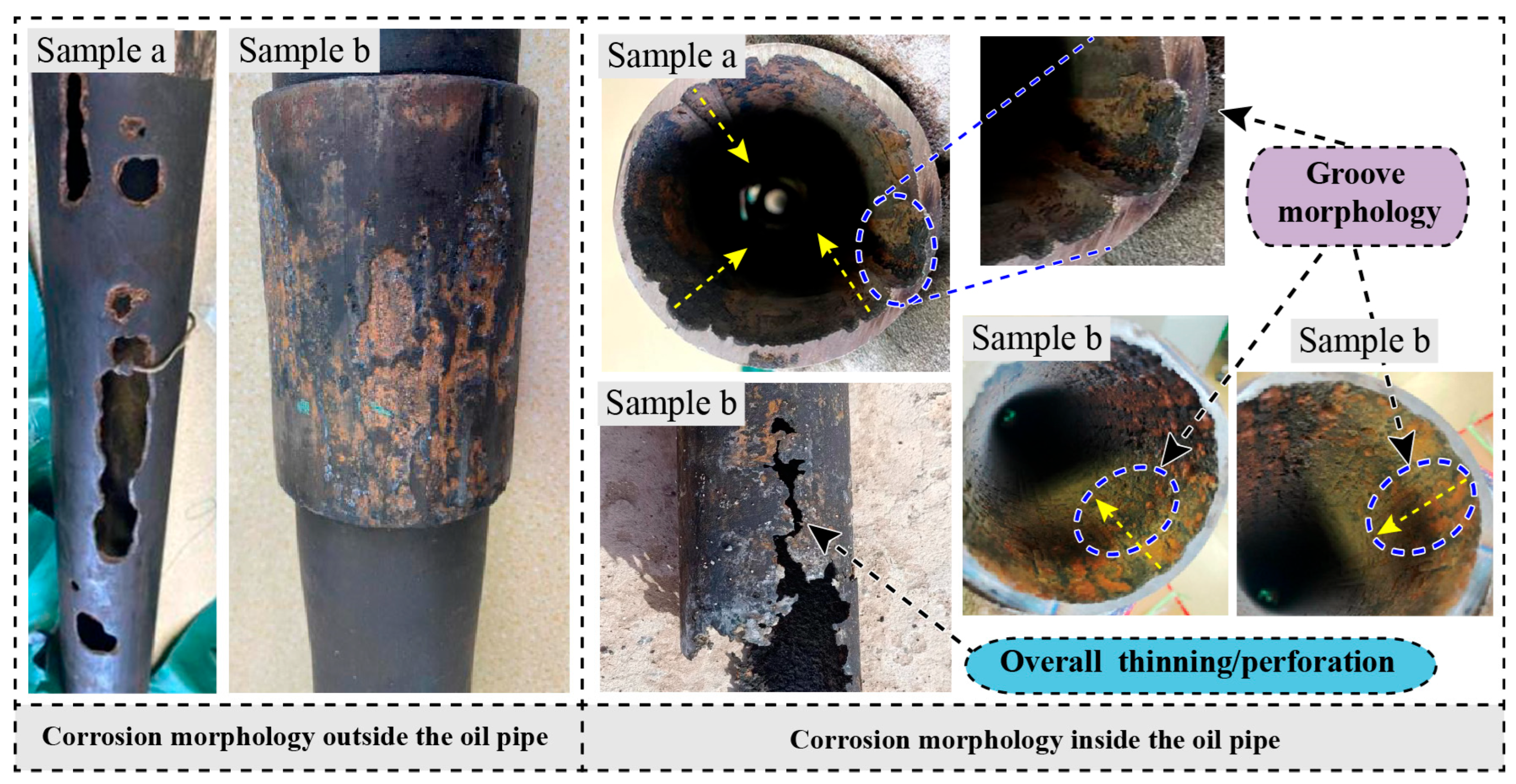 Coatings 15 01490 g002 Coatings 15 01490 g002
