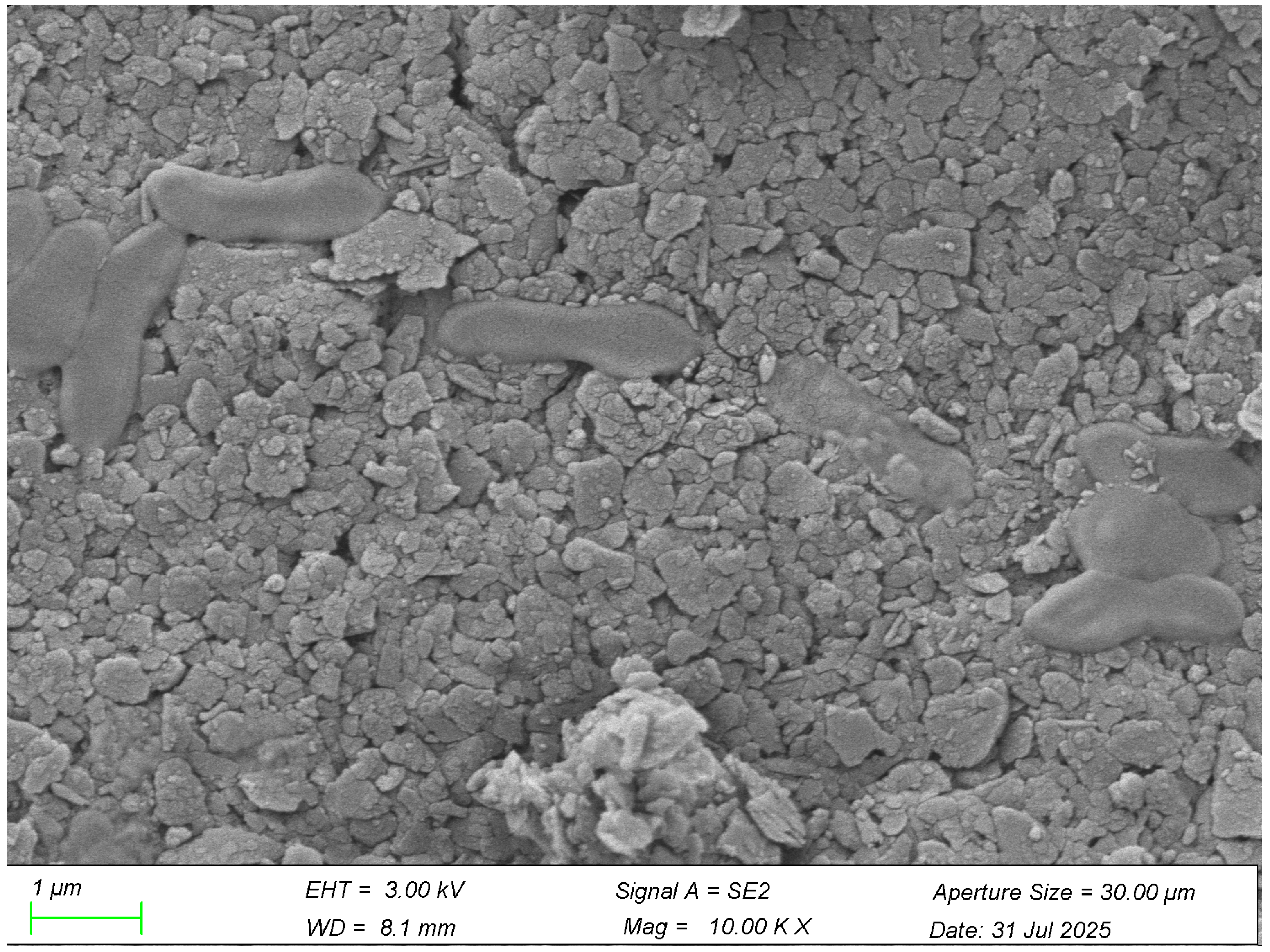 Coatings 15 01491 g006 Coatings 15 01491 g006