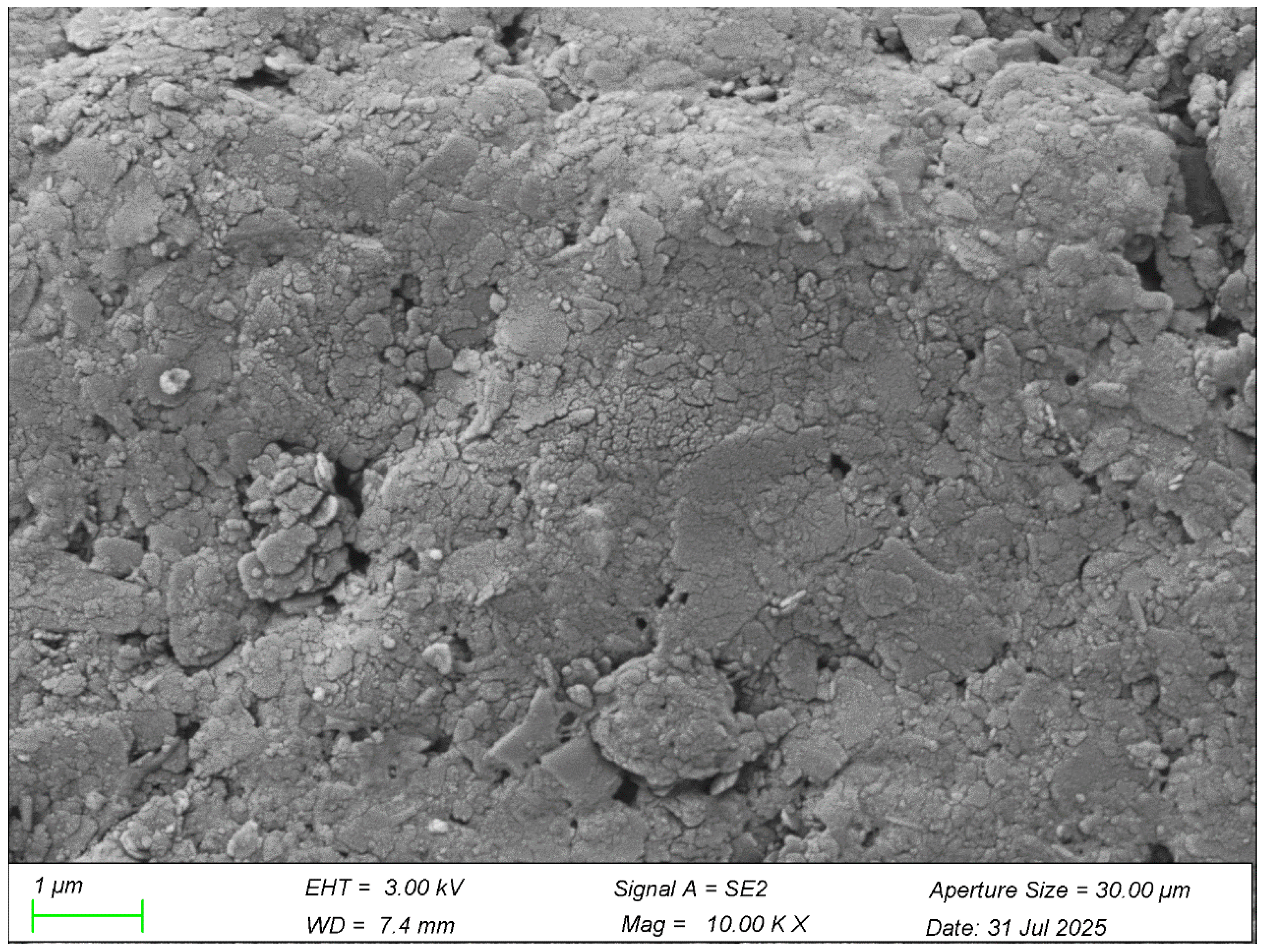 Coatings 15 01491 g009 Coatings 15 01491 g009