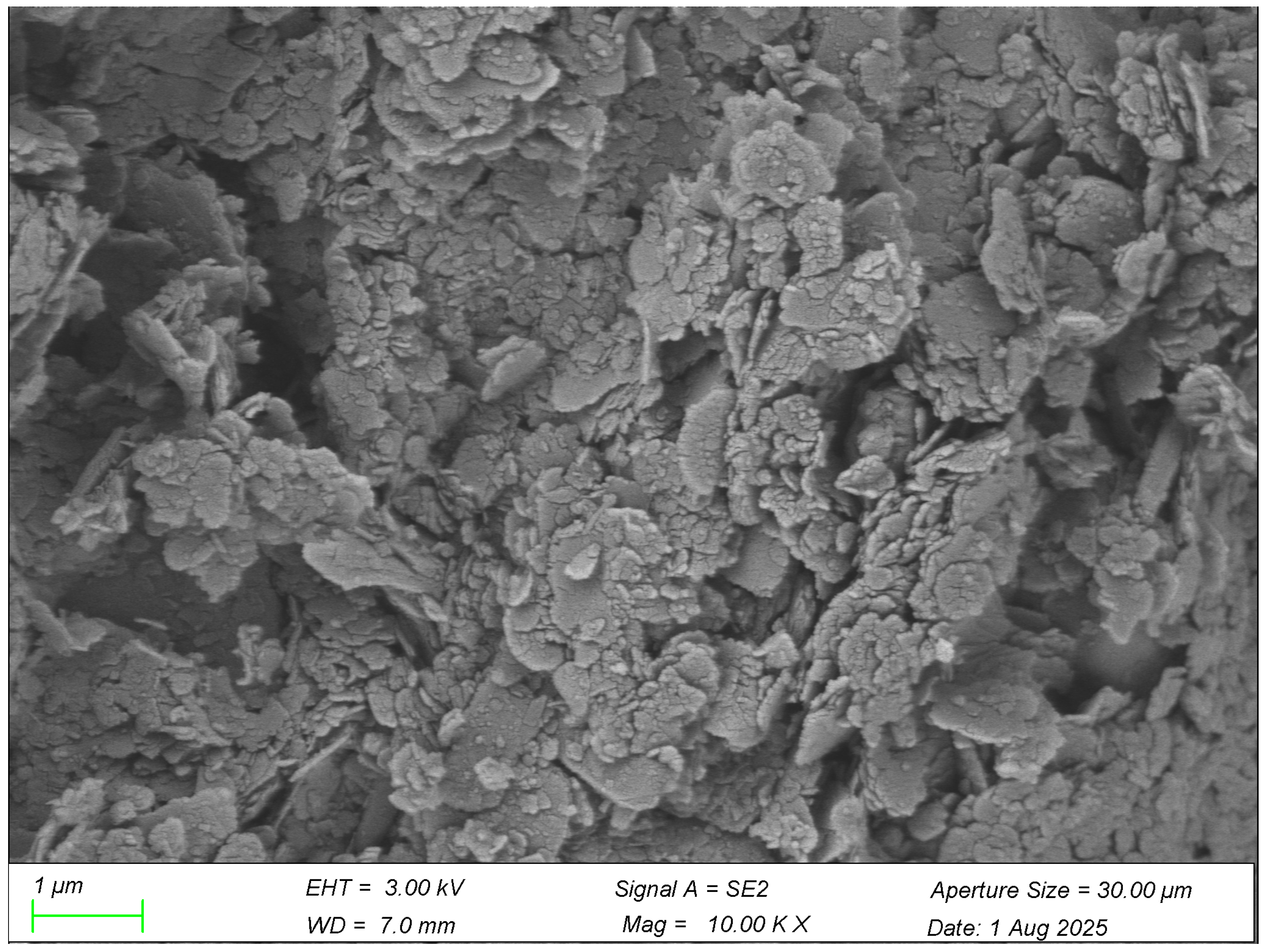 Coatings 15 01491 g011 Coatings 15 01491 g011