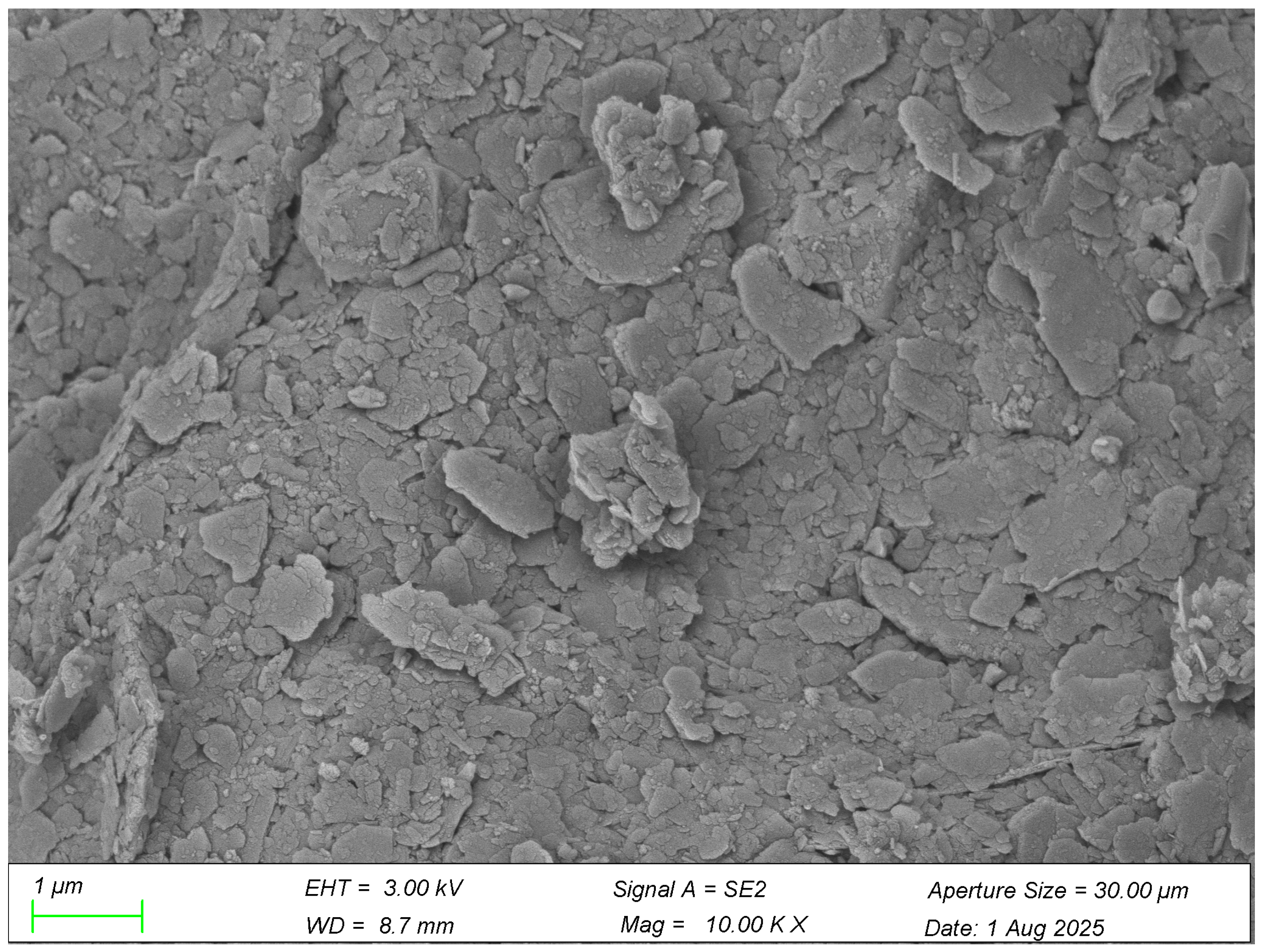 Coatings 15 01491 g013 Coatings 15 01491 g013