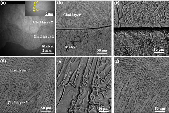 Coatings 15 01492 g004
