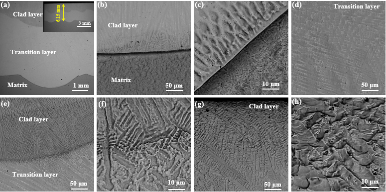 Coatings 15 01492 g007