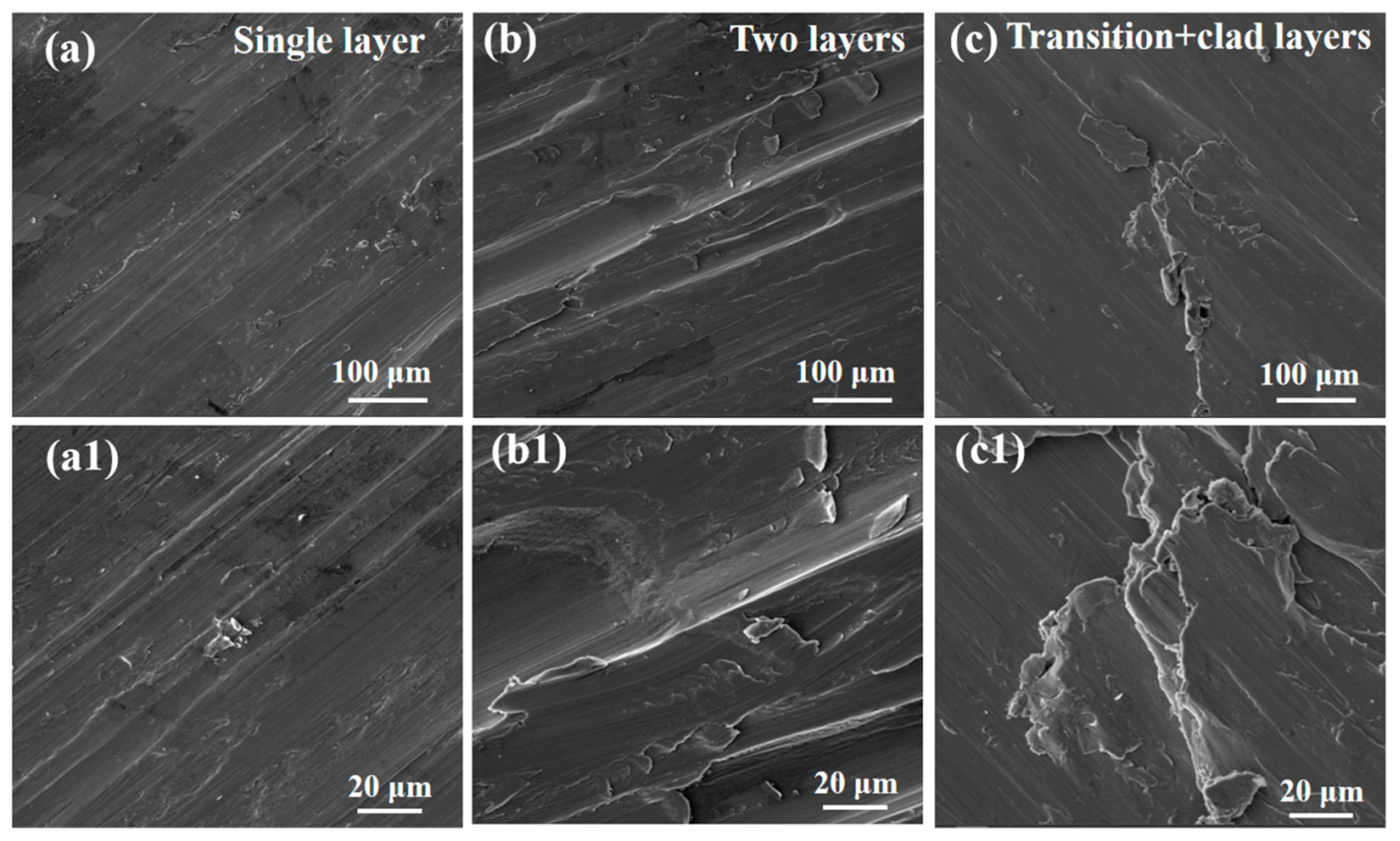 Coatings 15 01492 g012