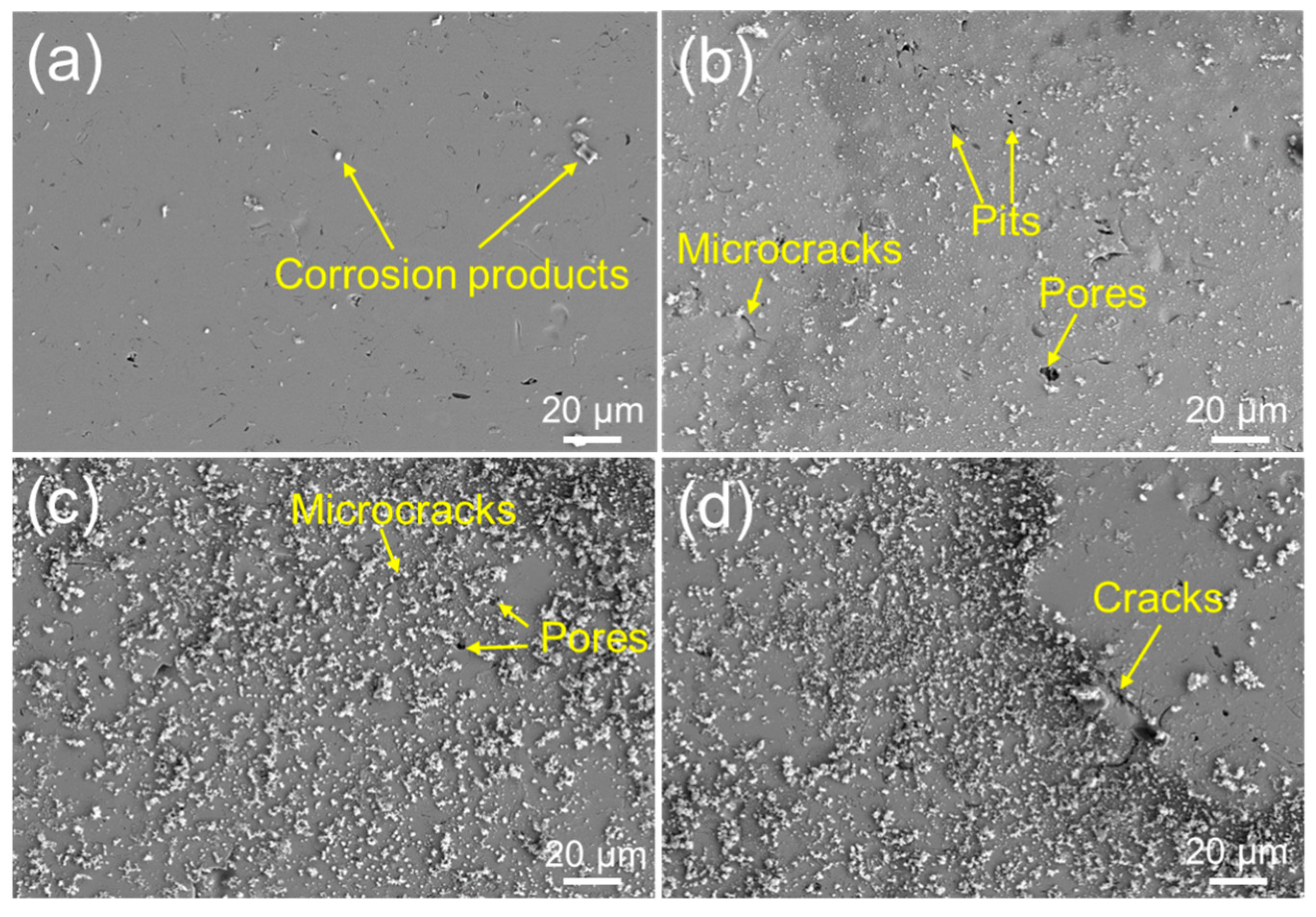 Coatings 15 01497 g008 Coatings 15 01497 g008