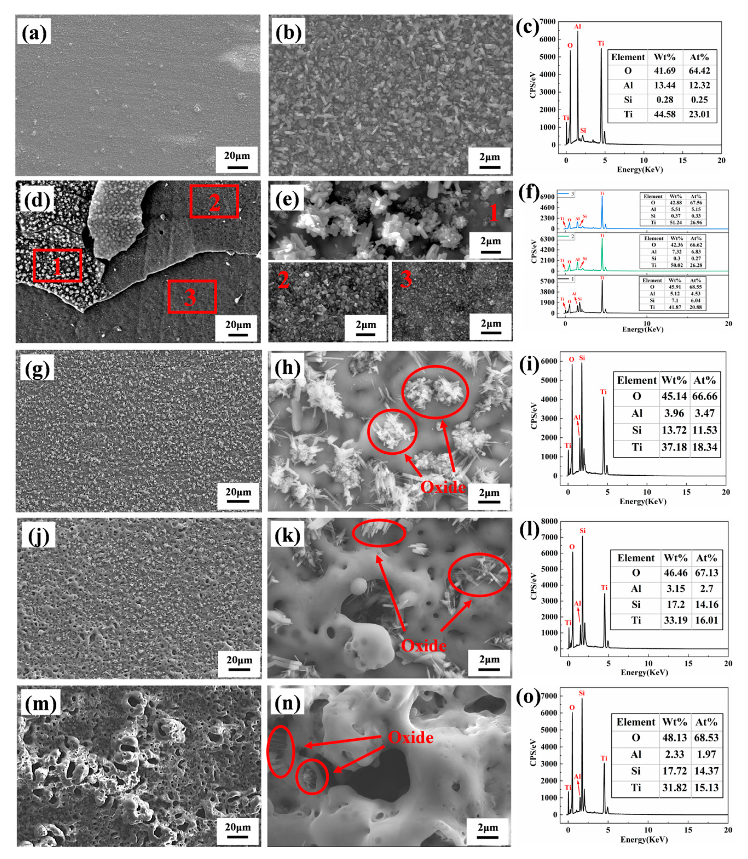 Coatings 15 01500 g008