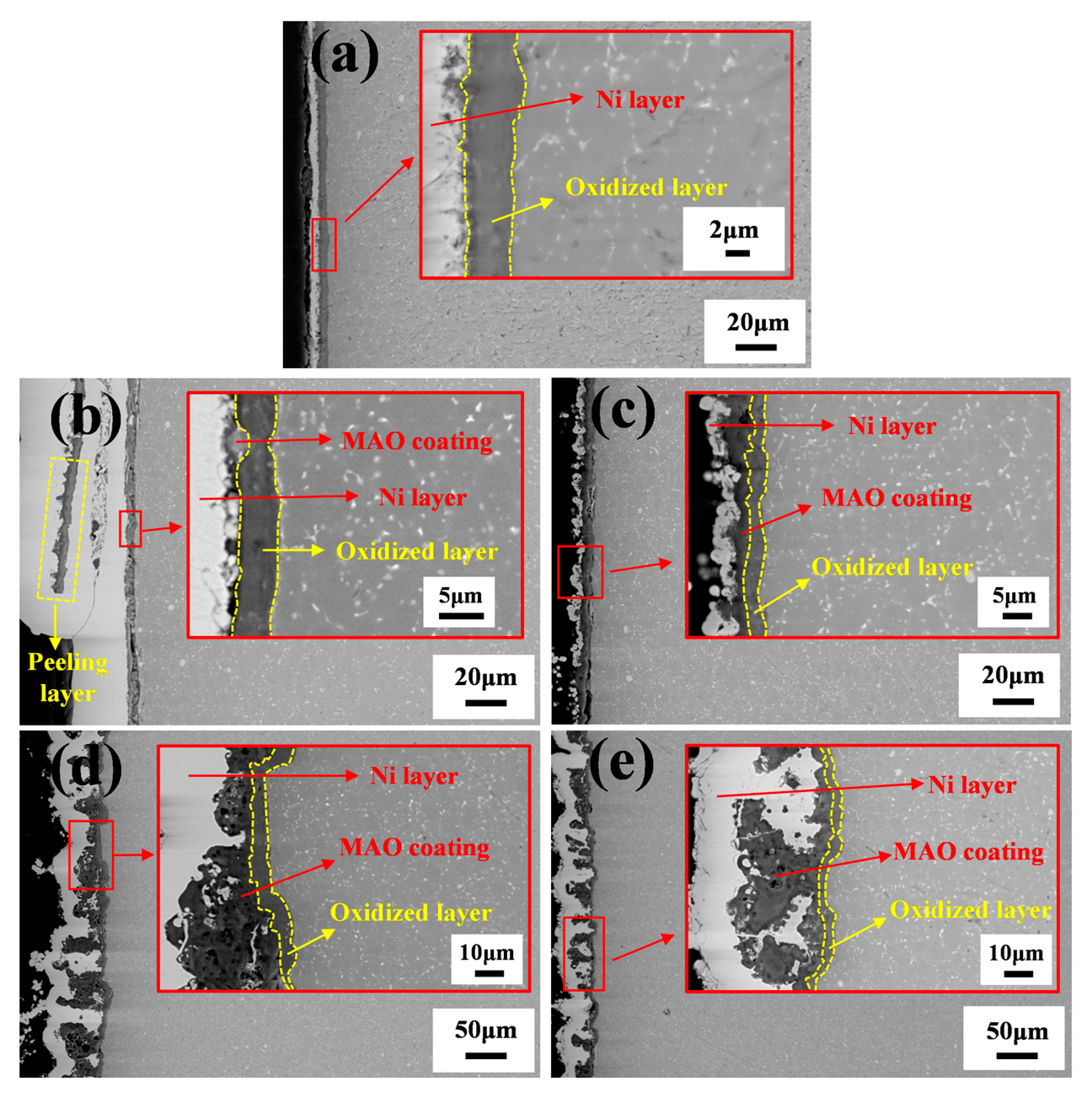 Coatings 15 01500 g009