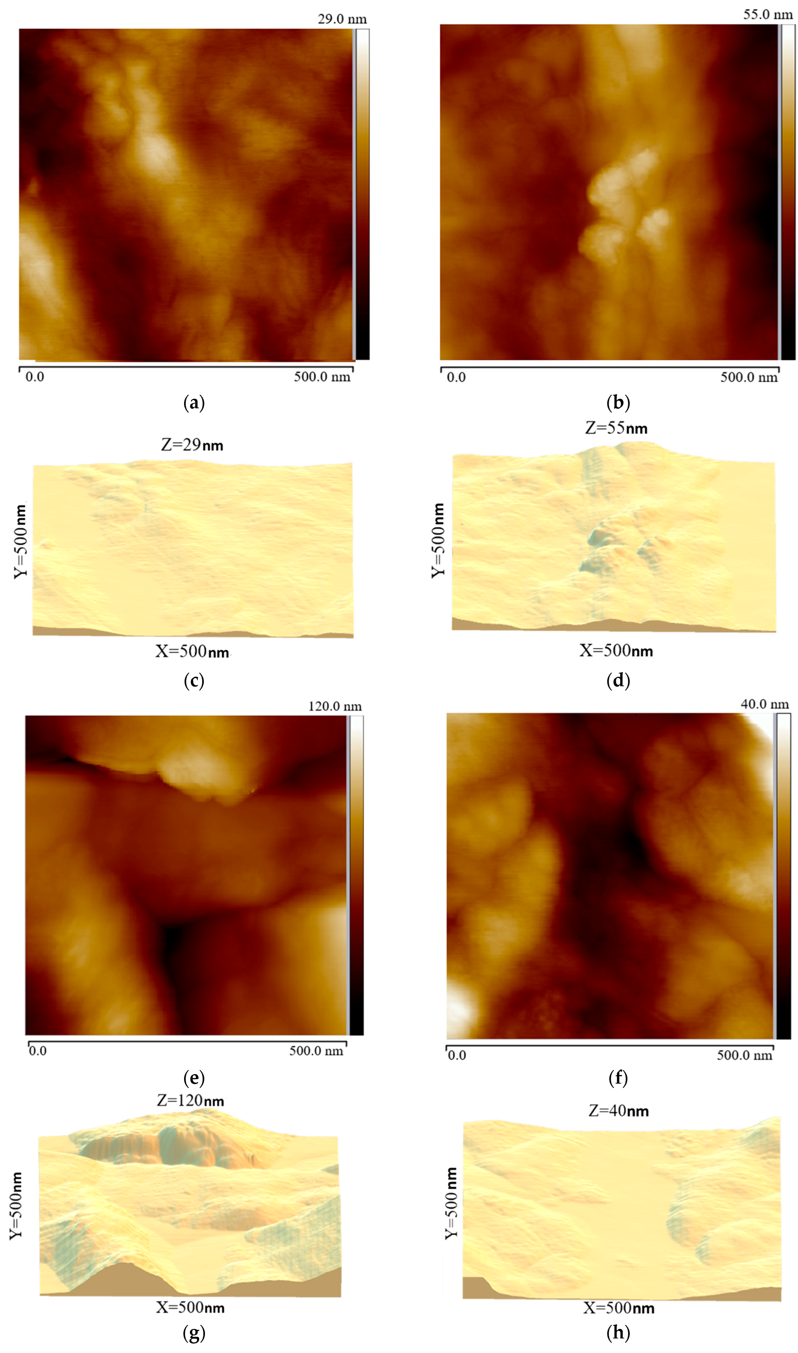 Coatings 16 00002 g011