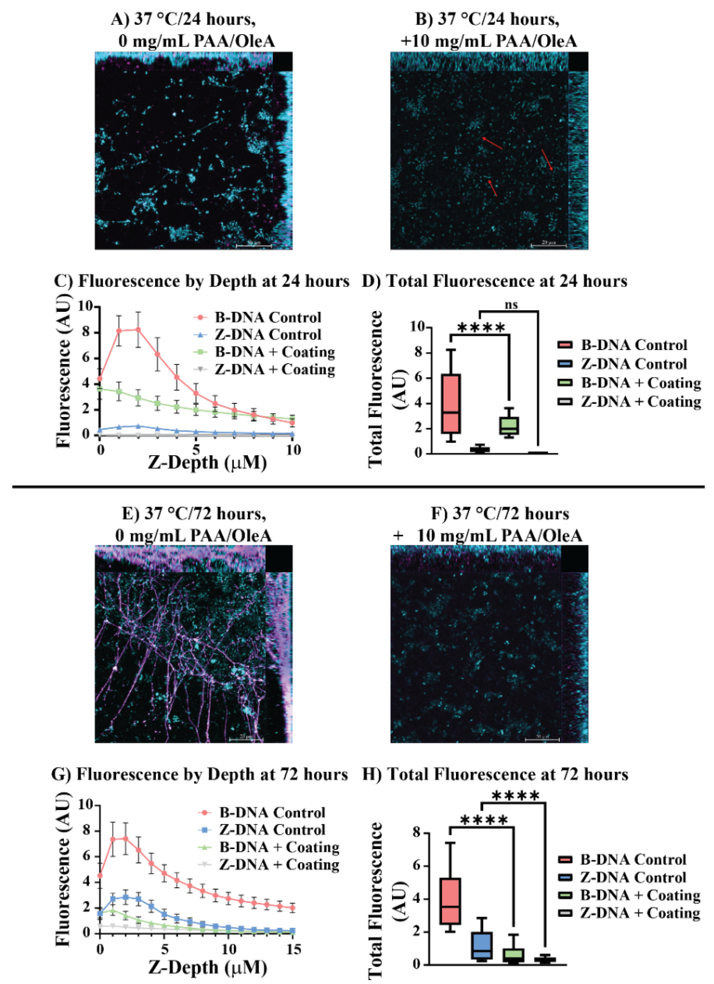 Coatings 16 00005 g006