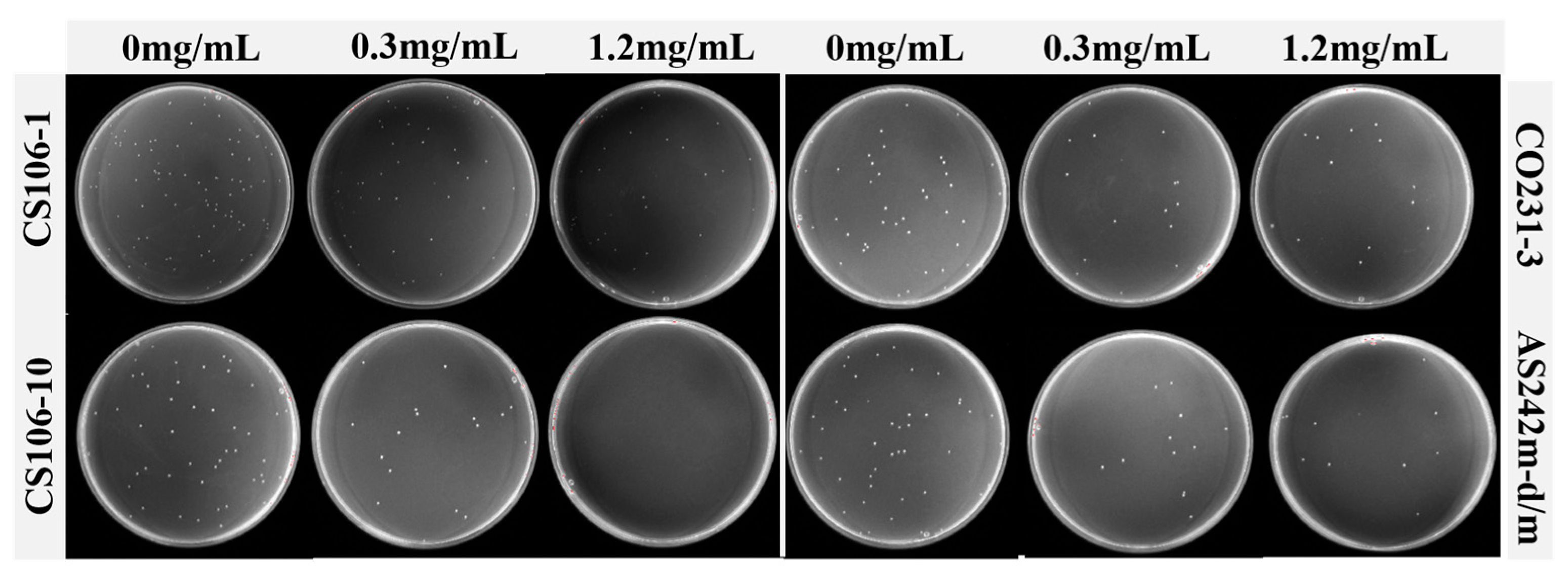 Coatings 16 00007 g001