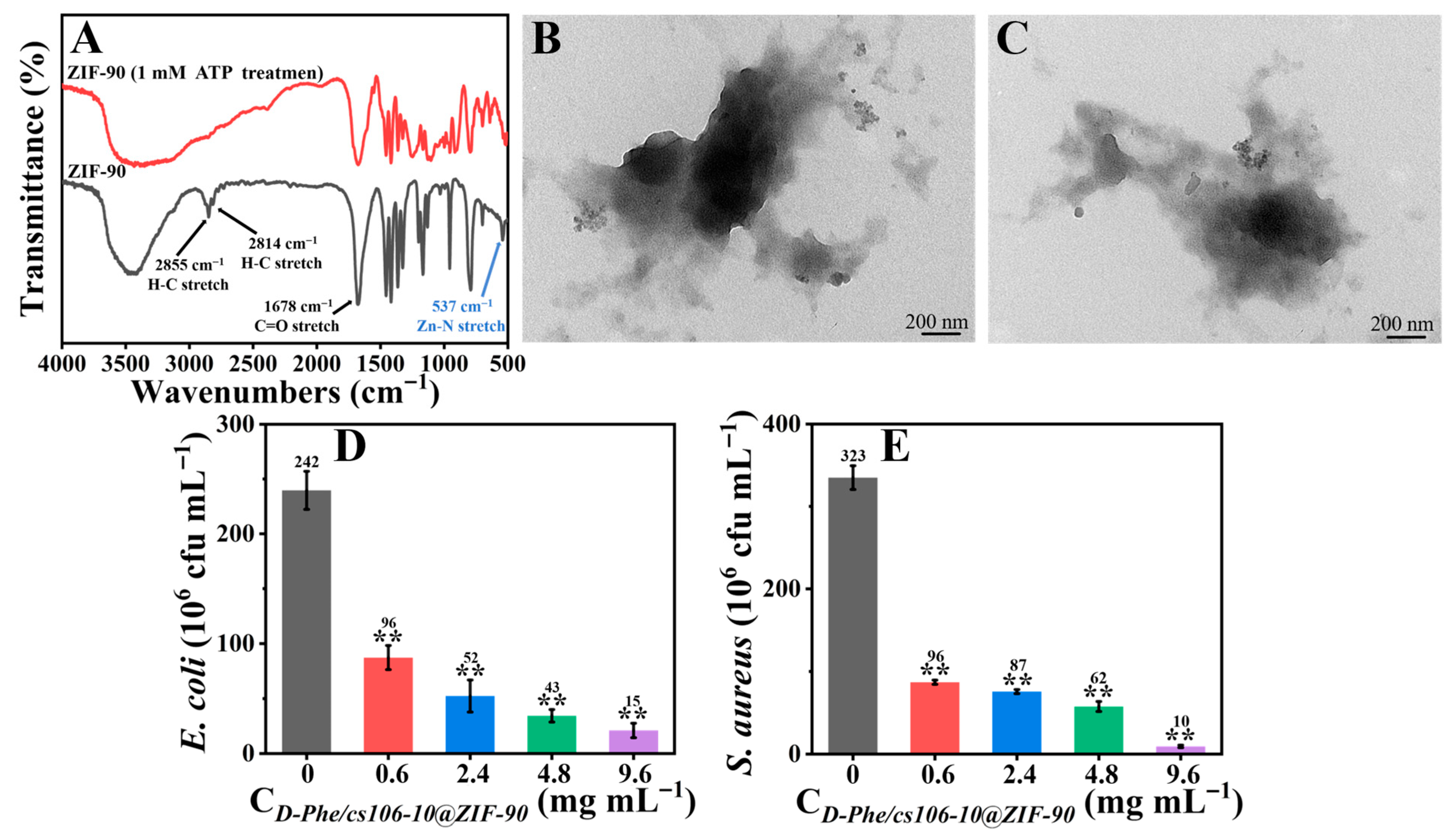 Coatings 16 00007 g004