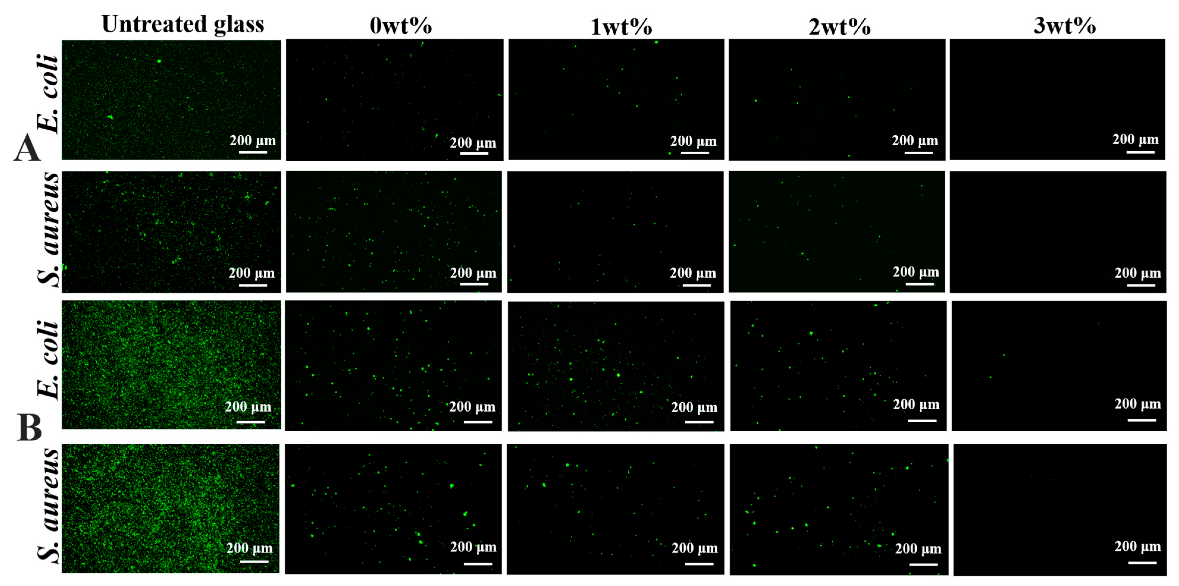 Coatings 16 00007 g005