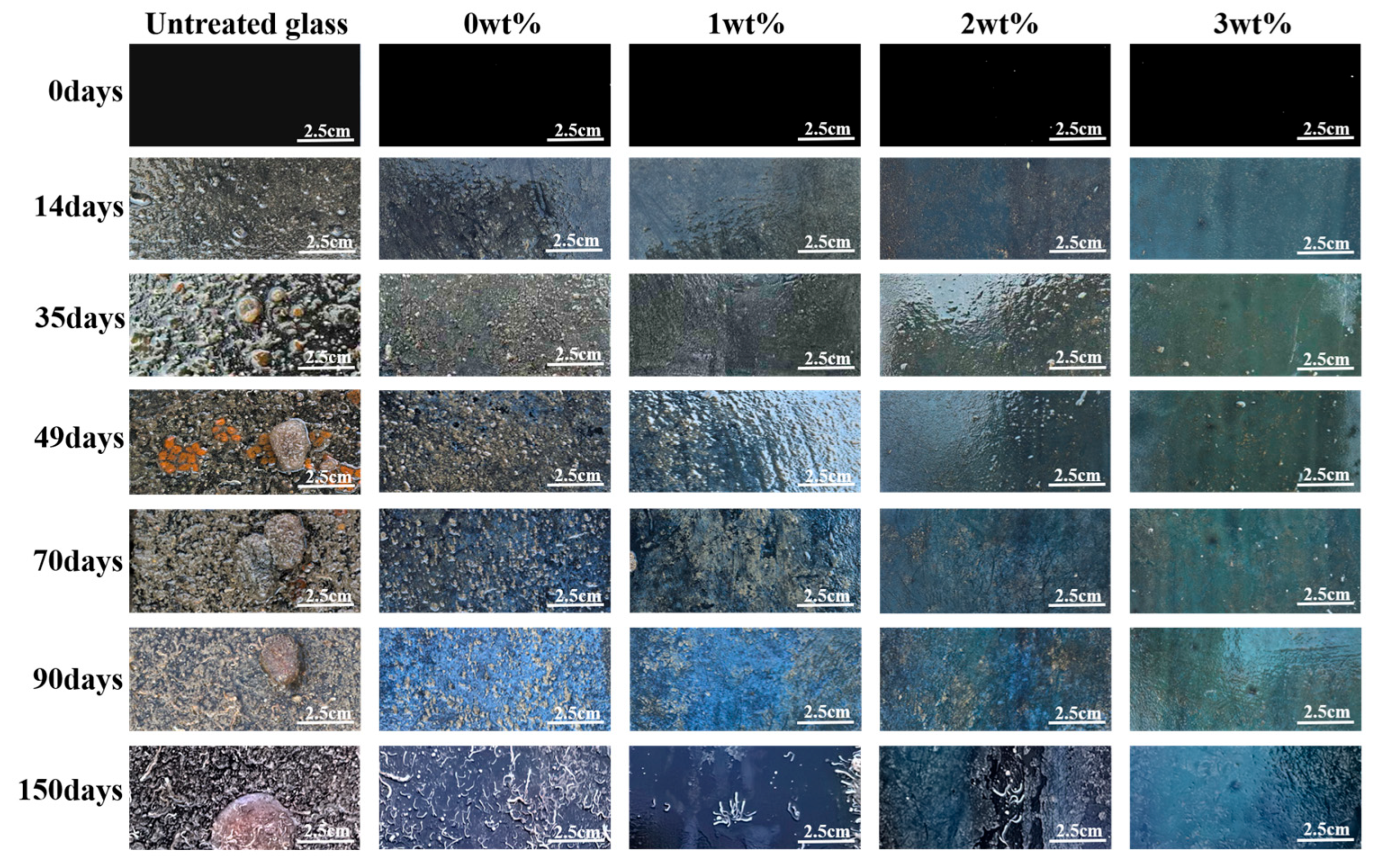 Coatings 16 00007 g007