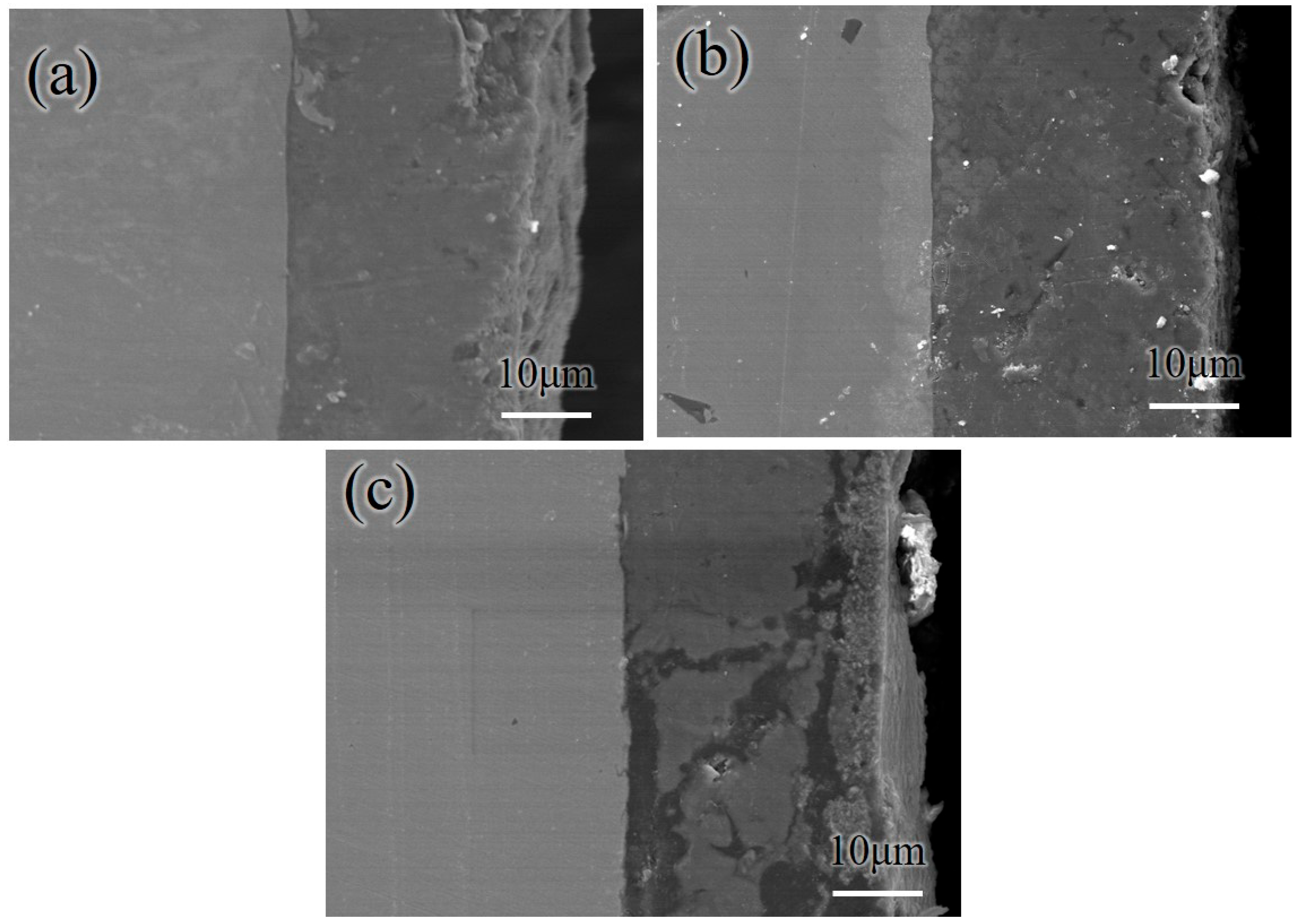 Coatings 16 00011 g007