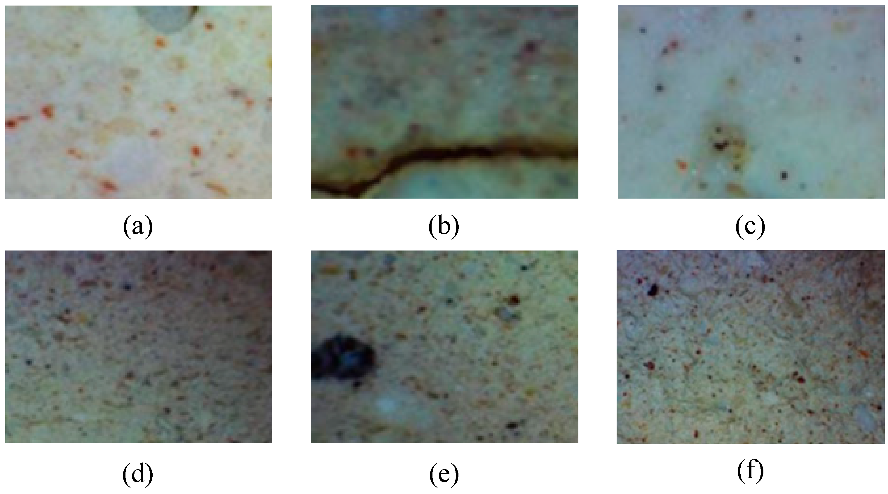 Coatings 16 00014 g005 Coatings 16 00014 g005