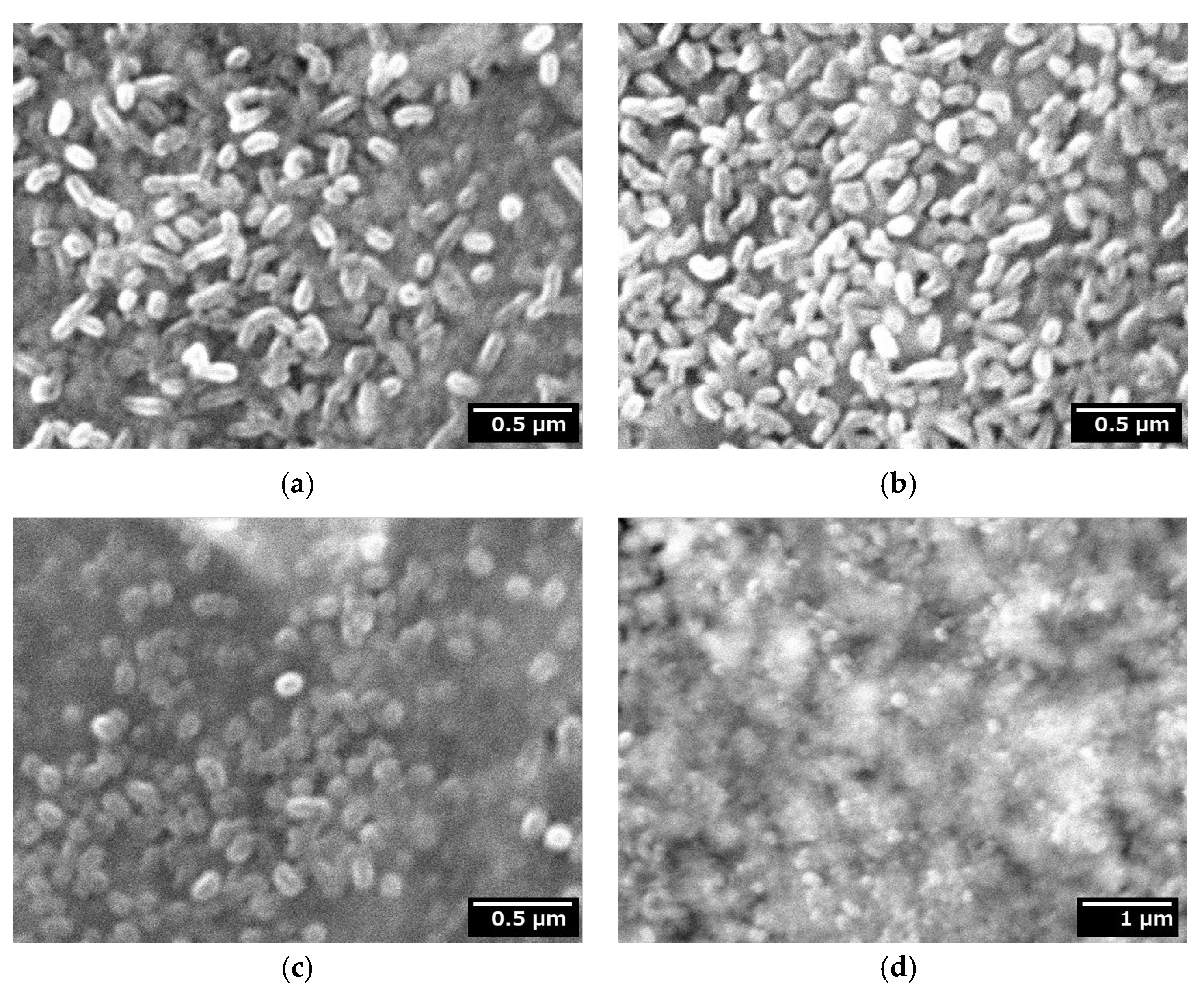 Coatings 16 00020 g003