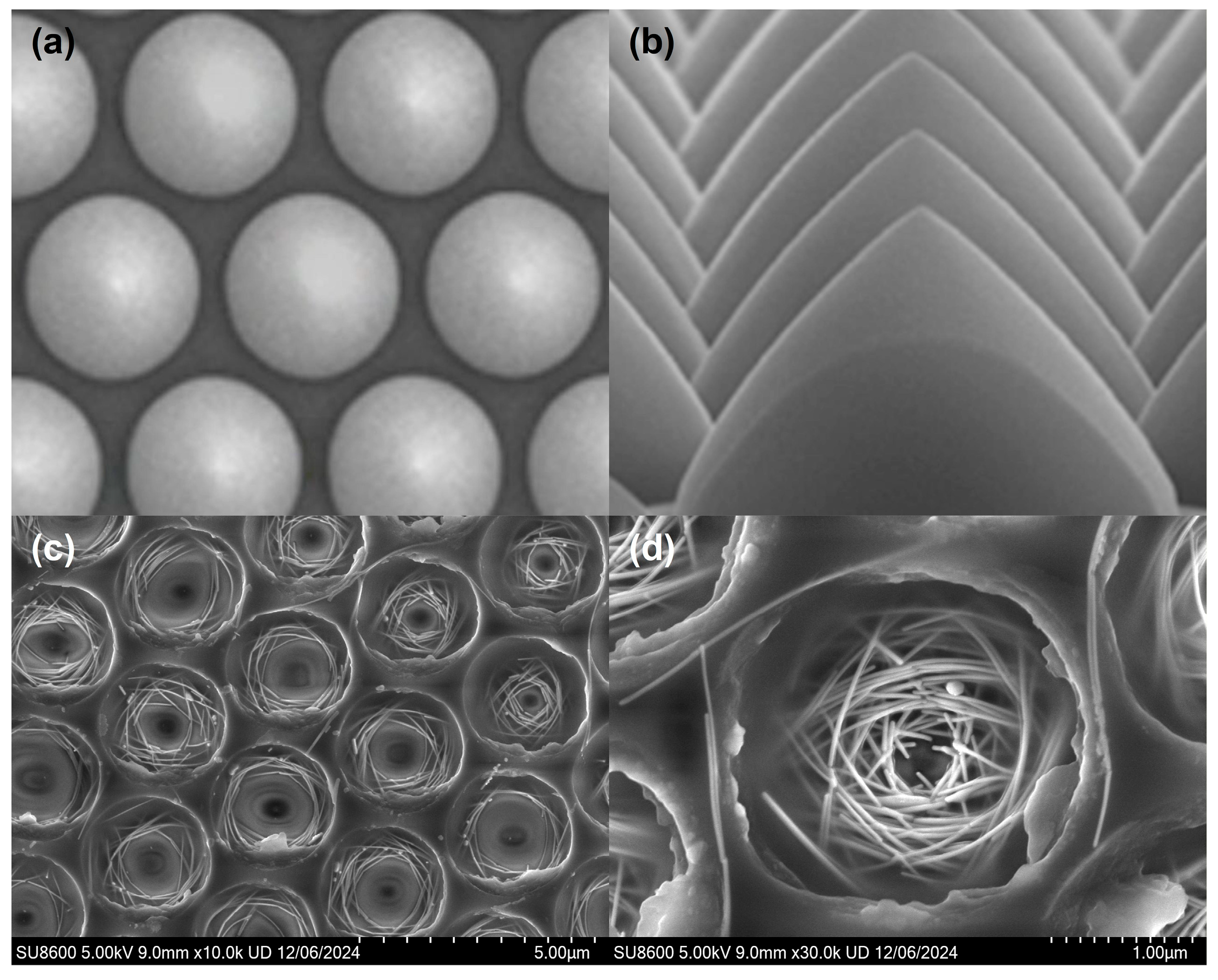 Coatings 16 00021 g002