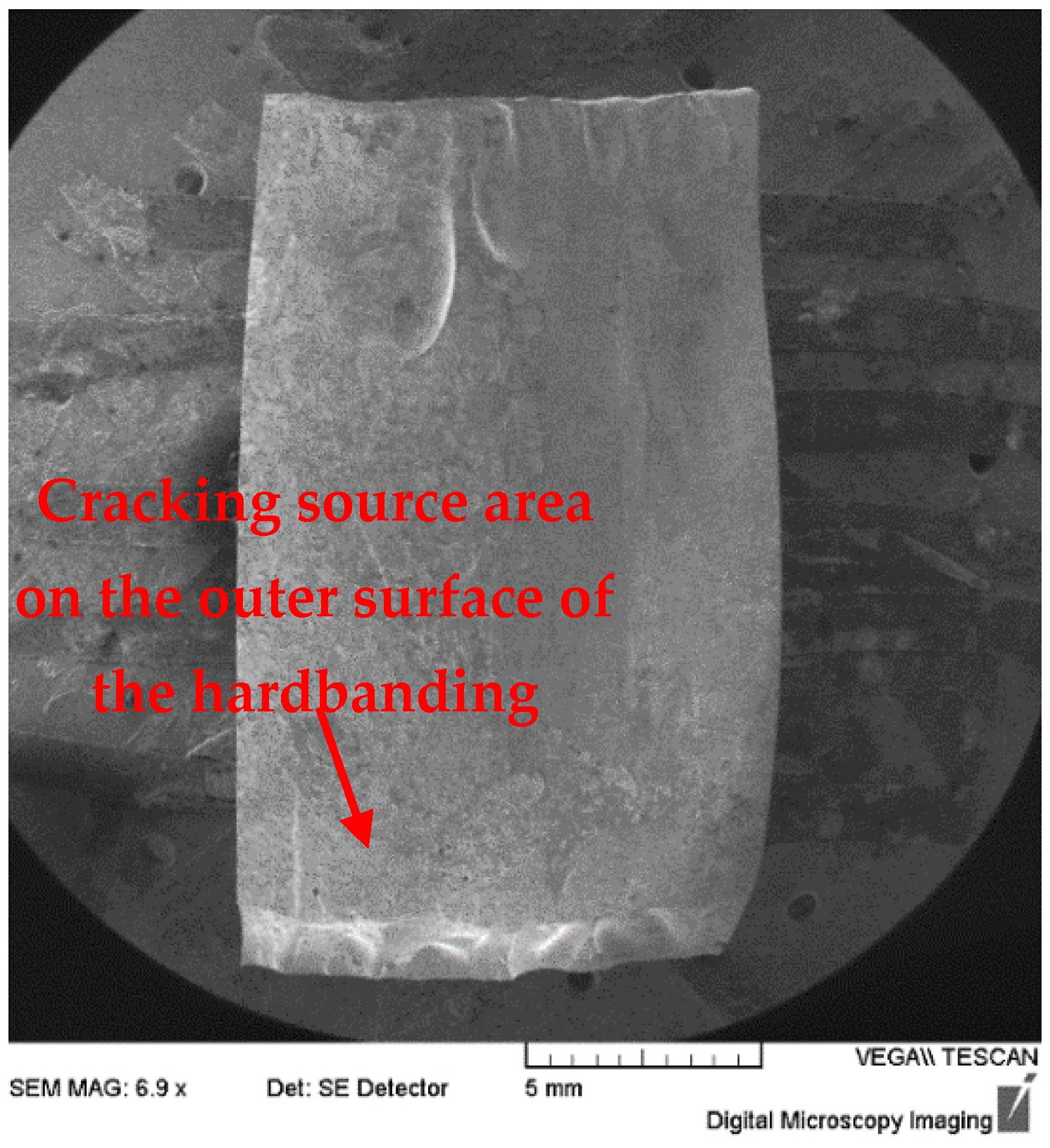 Coatings 16 00025 g014