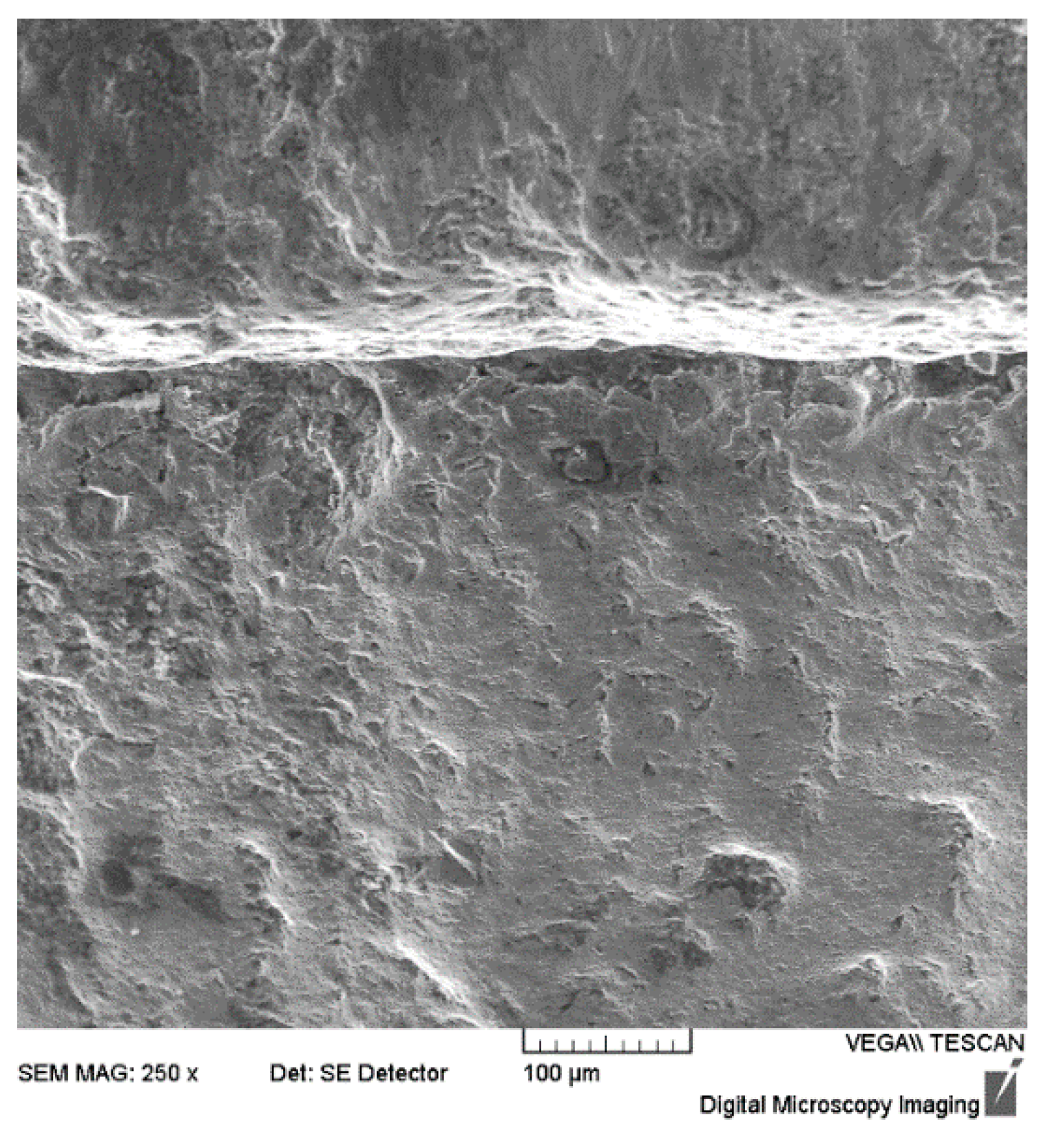 Coatings 16 00025 g015