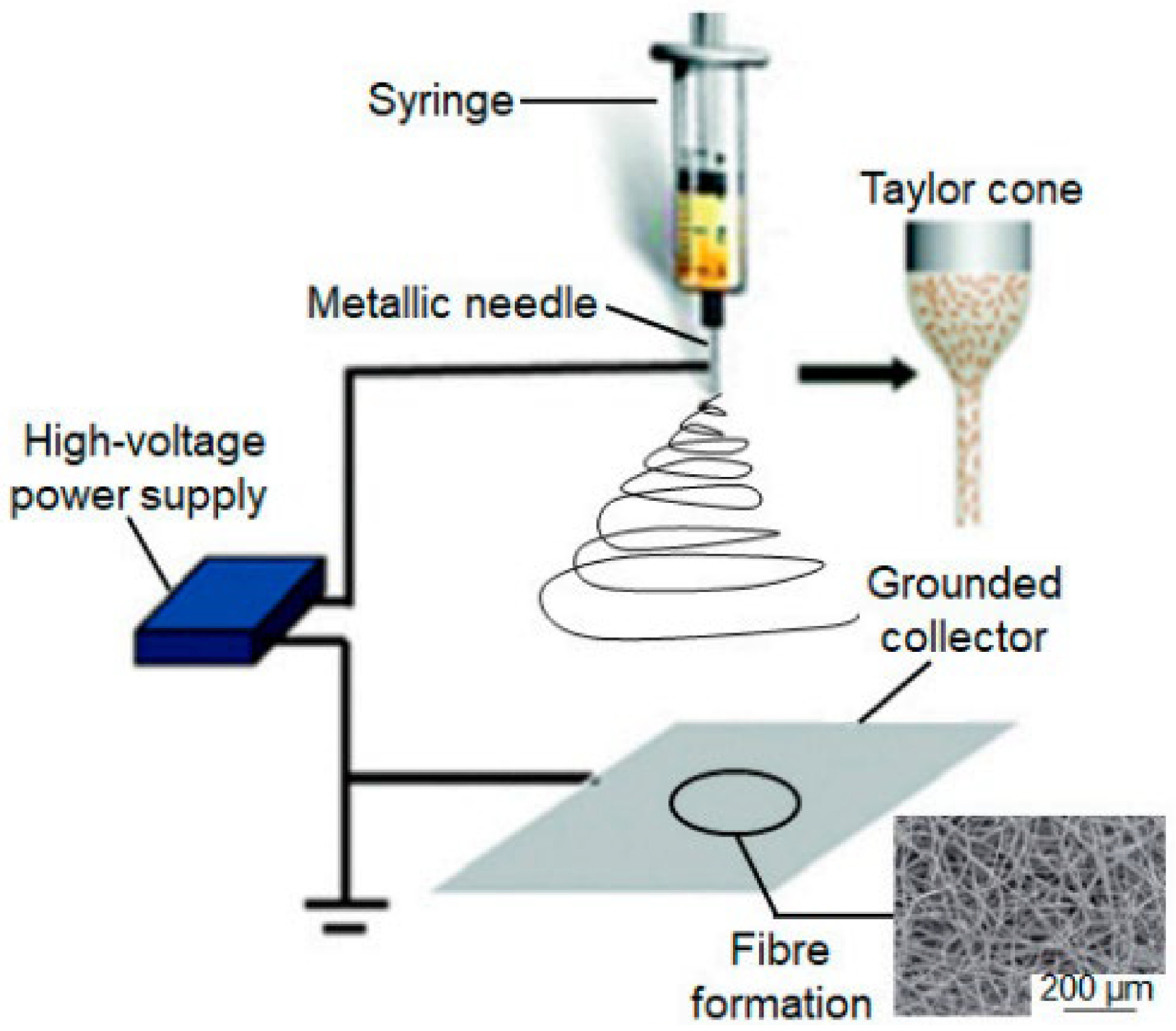 Coatings 16 00029 g001 Coatings 16 00029 g001