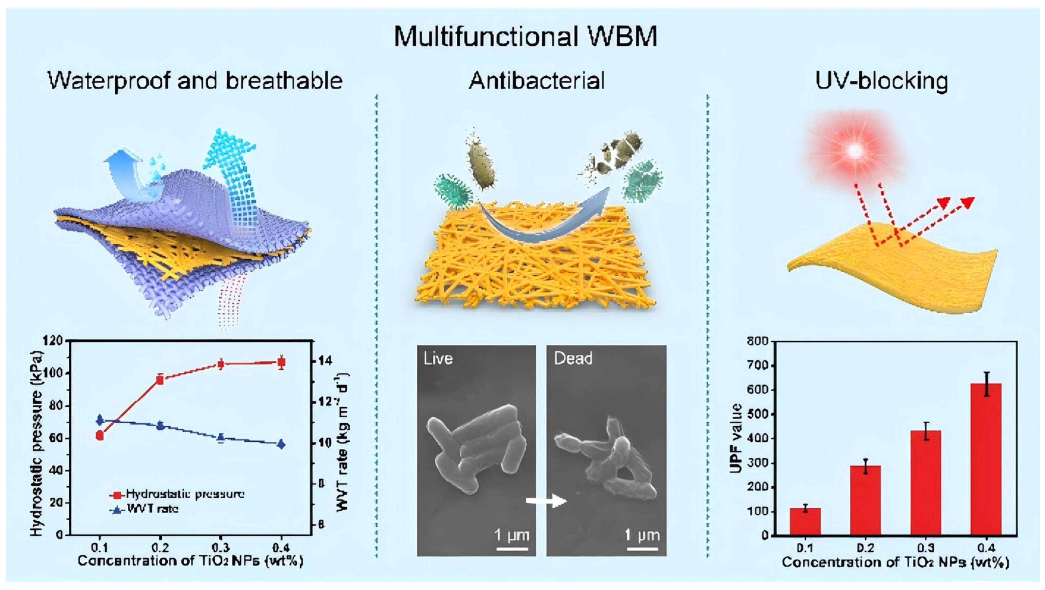 Coatings 16 00029 g004 Coatings 16 00029 g004