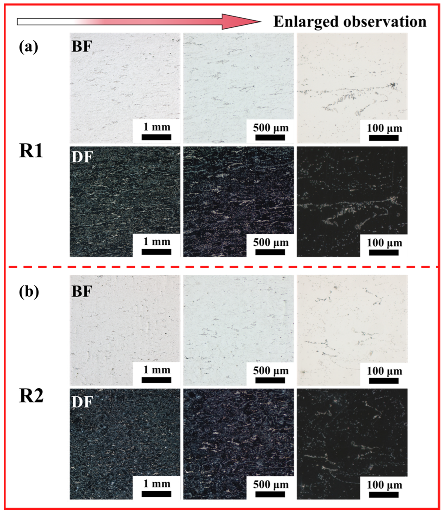 Coatings 16 00057 g002 Coatings 16 00057 g002