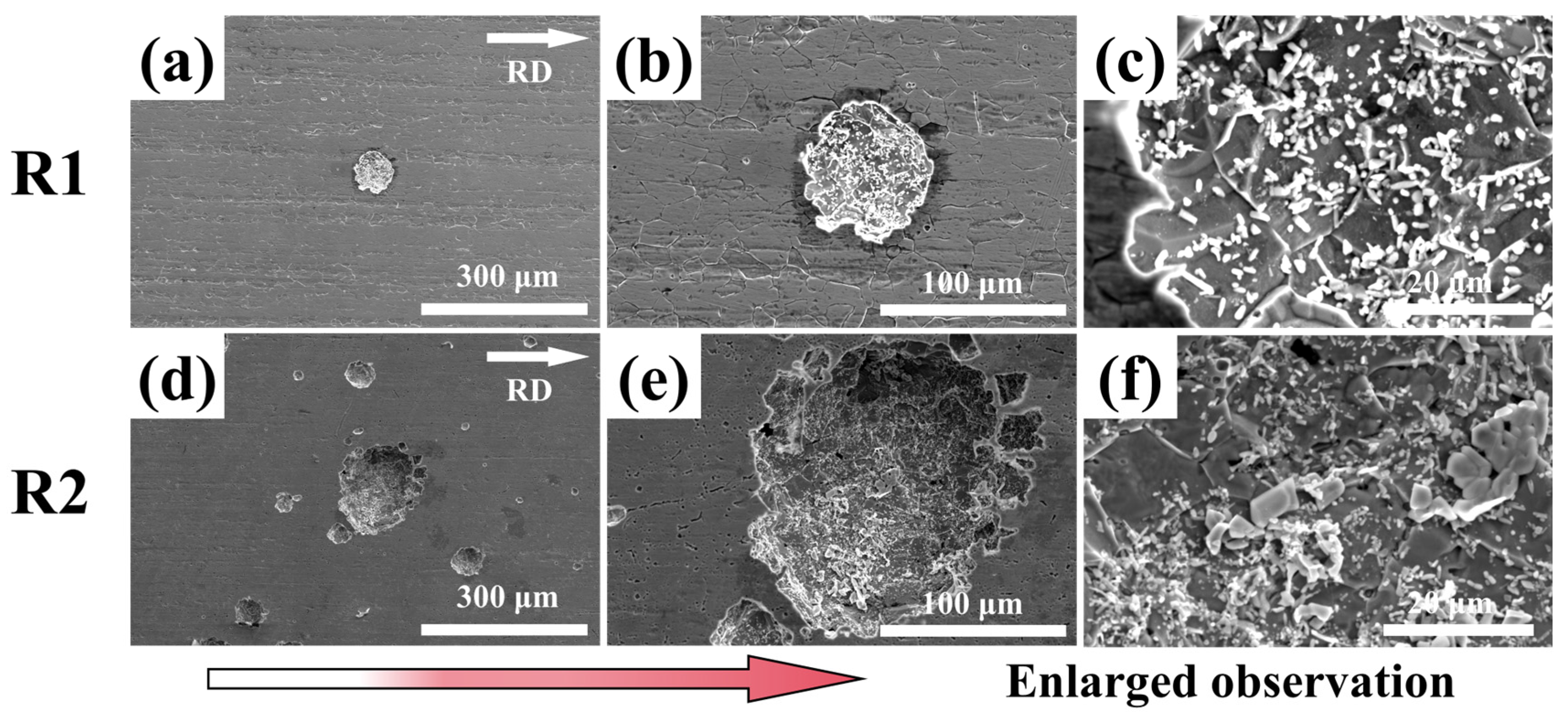 Coatings 16 00057 g008 Coatings 16 00057 g008