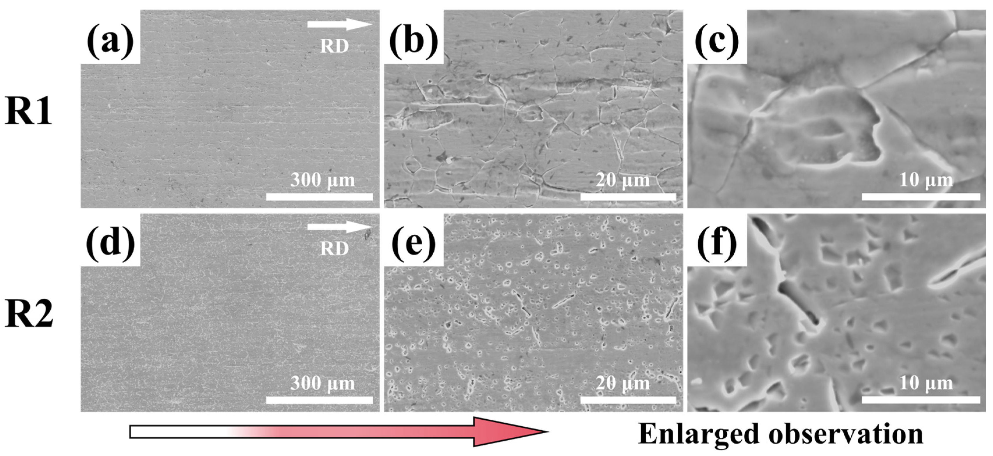 Coatings 16 00057 g009 Coatings 16 00057 g009