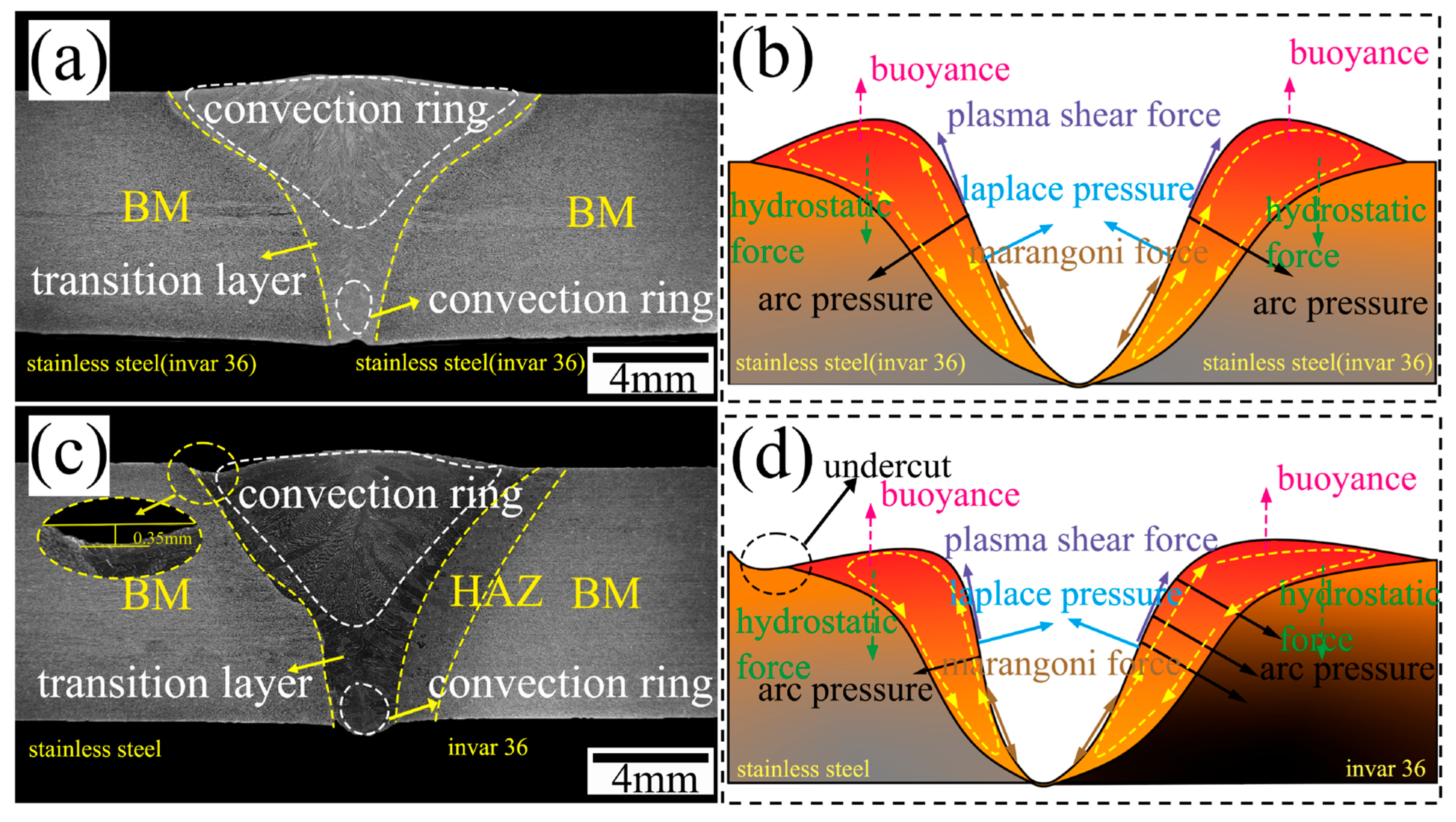 Coatings 16 00058 g014 Coatings 16 00058 g014