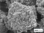 Coatings 16 00105 i010