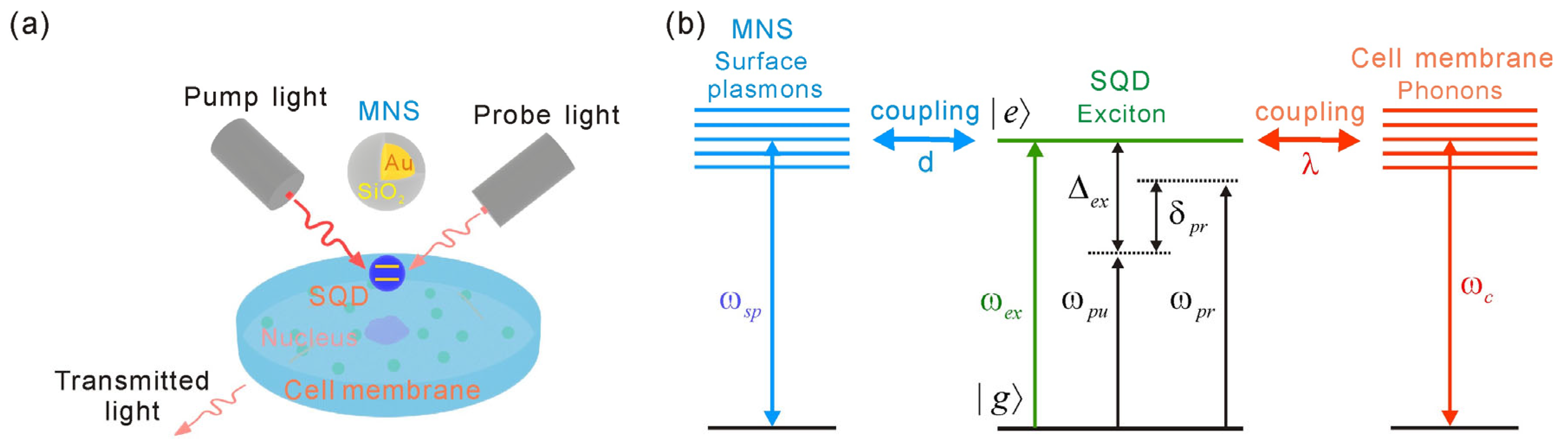 Coatings 16 00109 g001