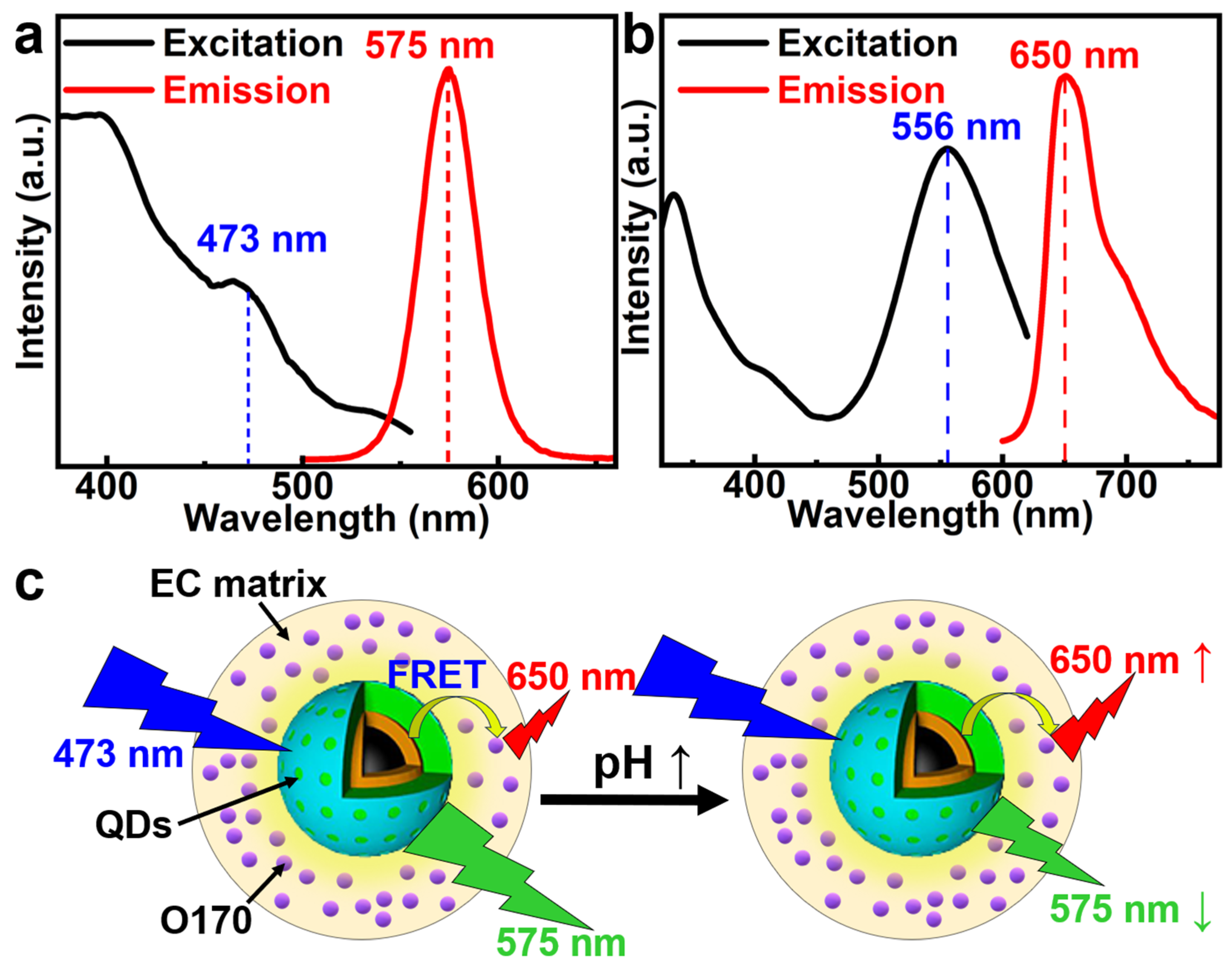 Coatings 16 00110 g001