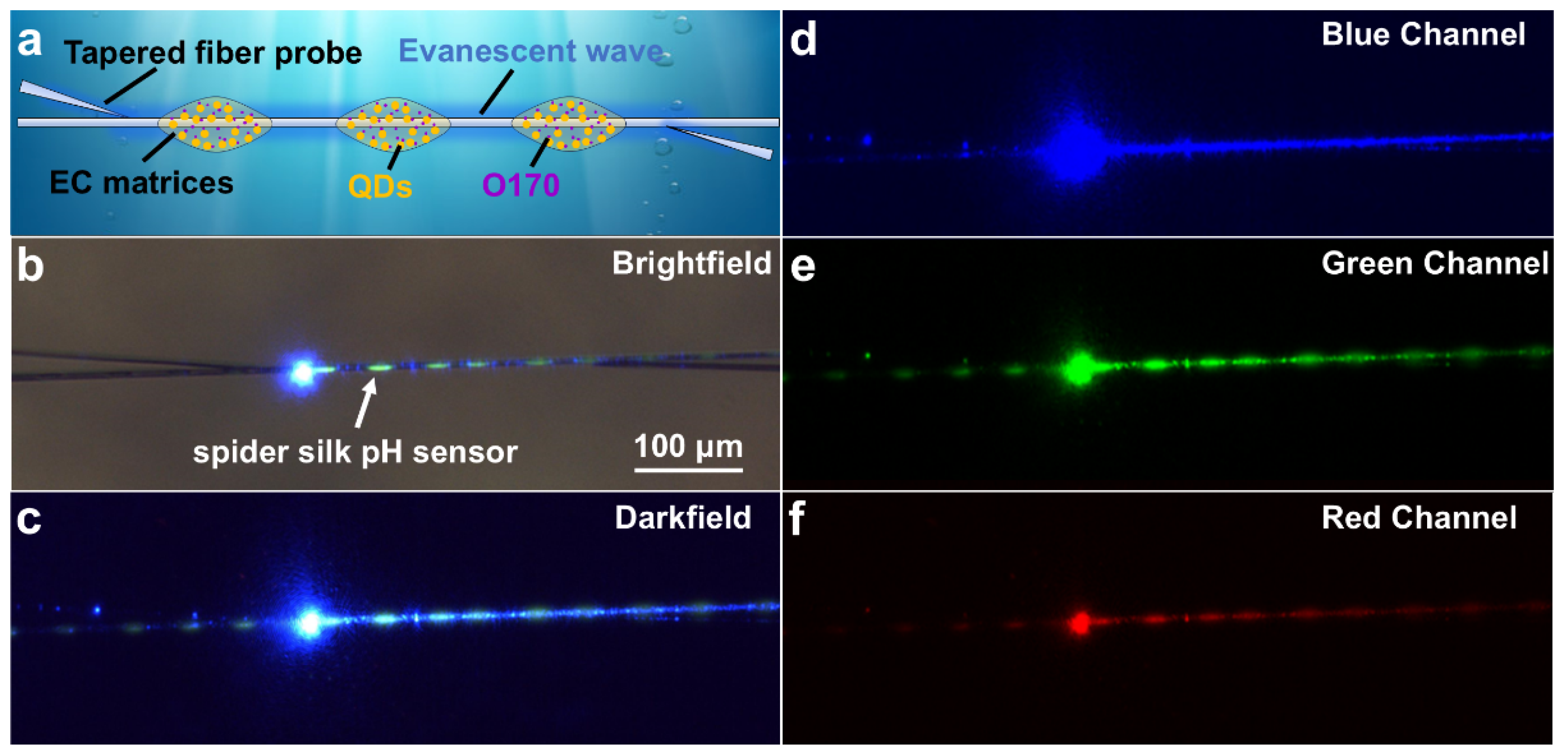 Coatings 16 00110 g004