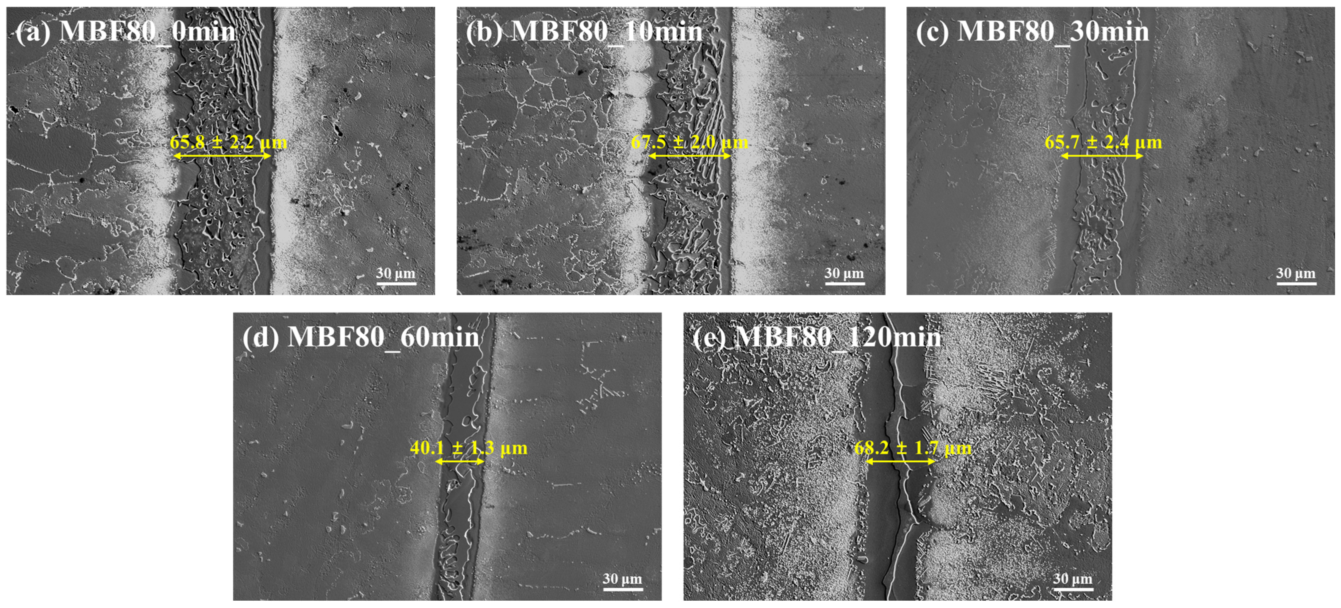 Coatings 16 00121 g001
