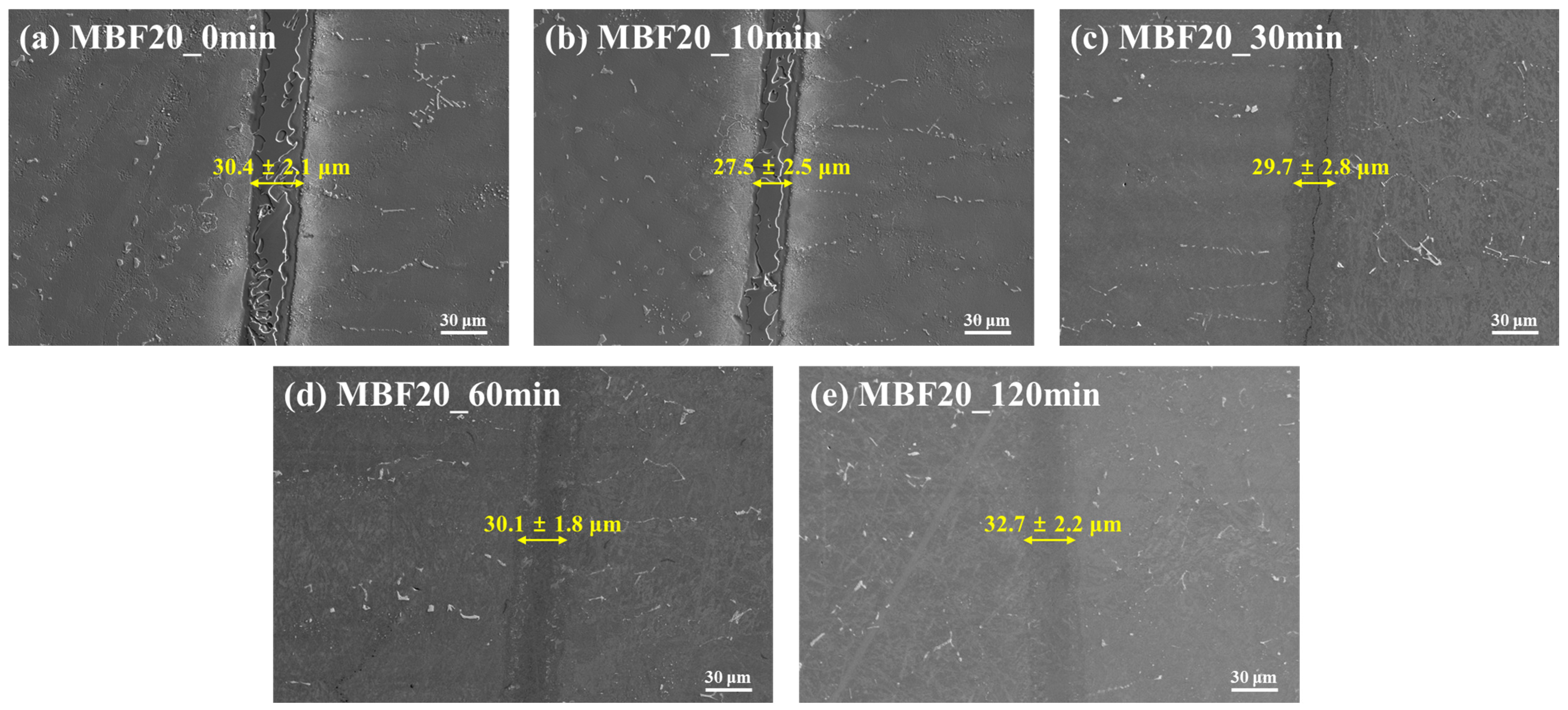 Coatings 16 00121 g002