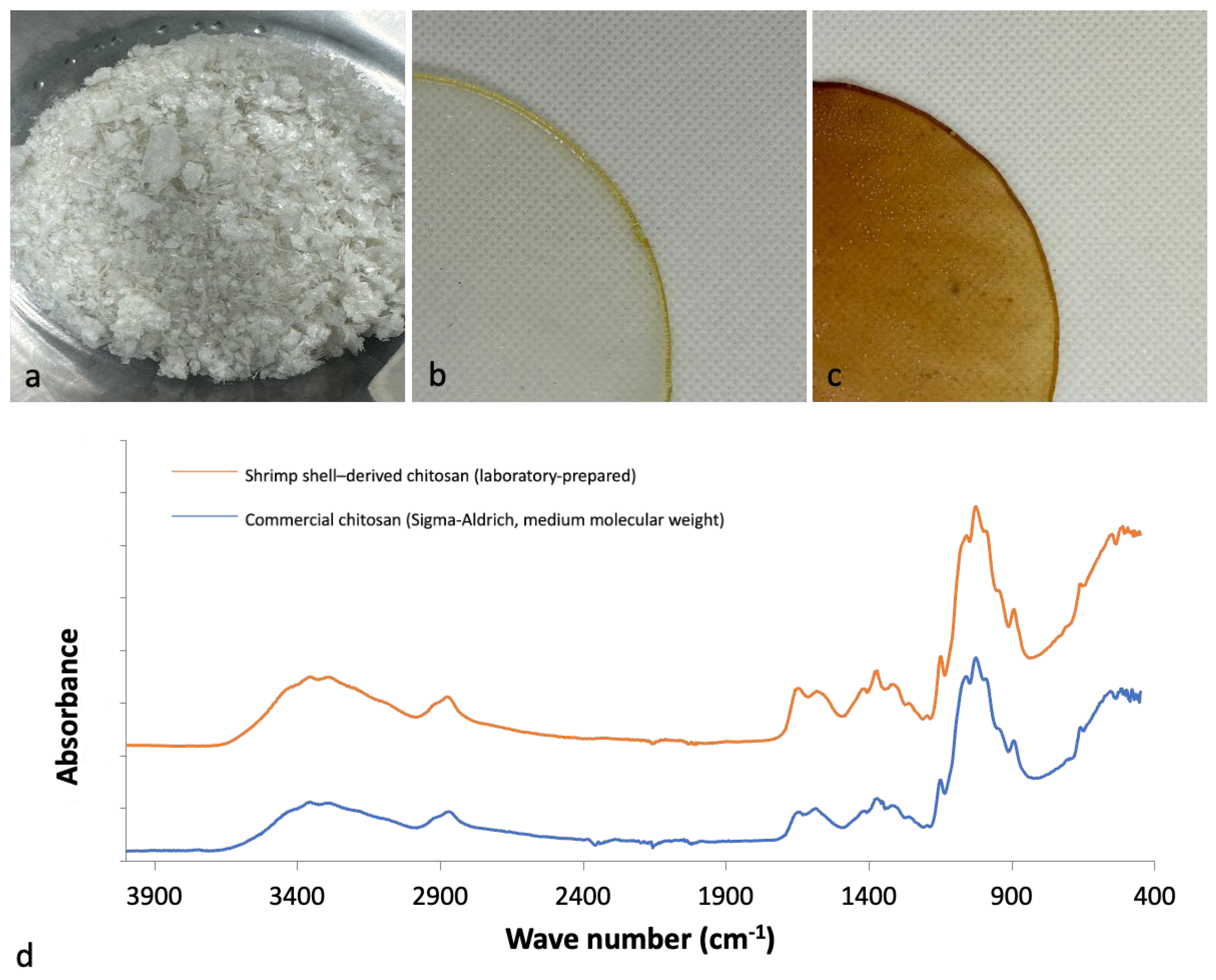 Coatings 16 00124 g001