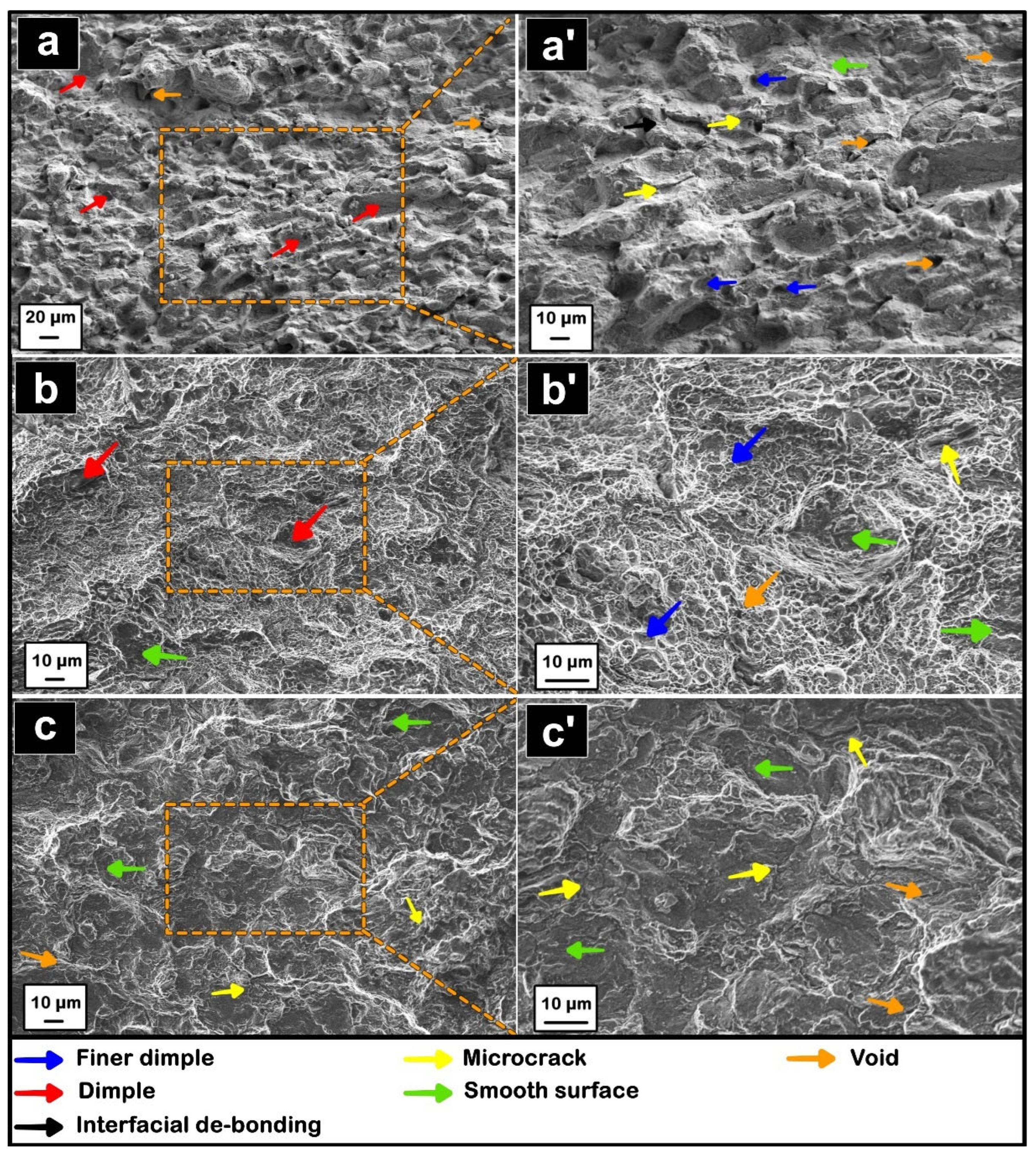 Coatings 16 00143 g009
