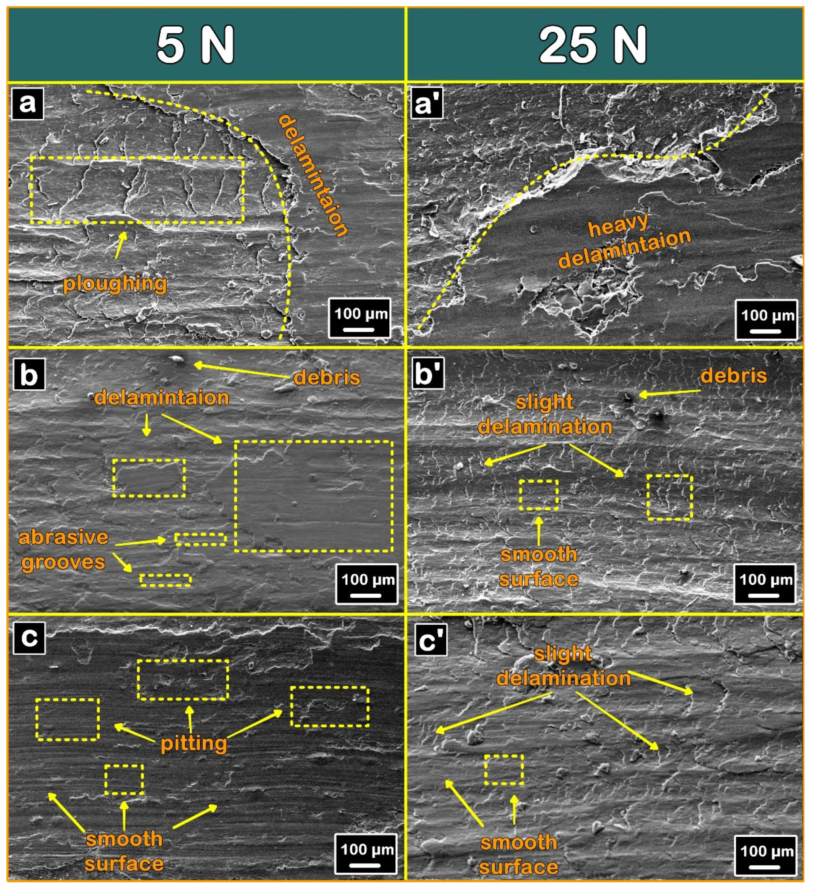 Coatings 16 00143 g012