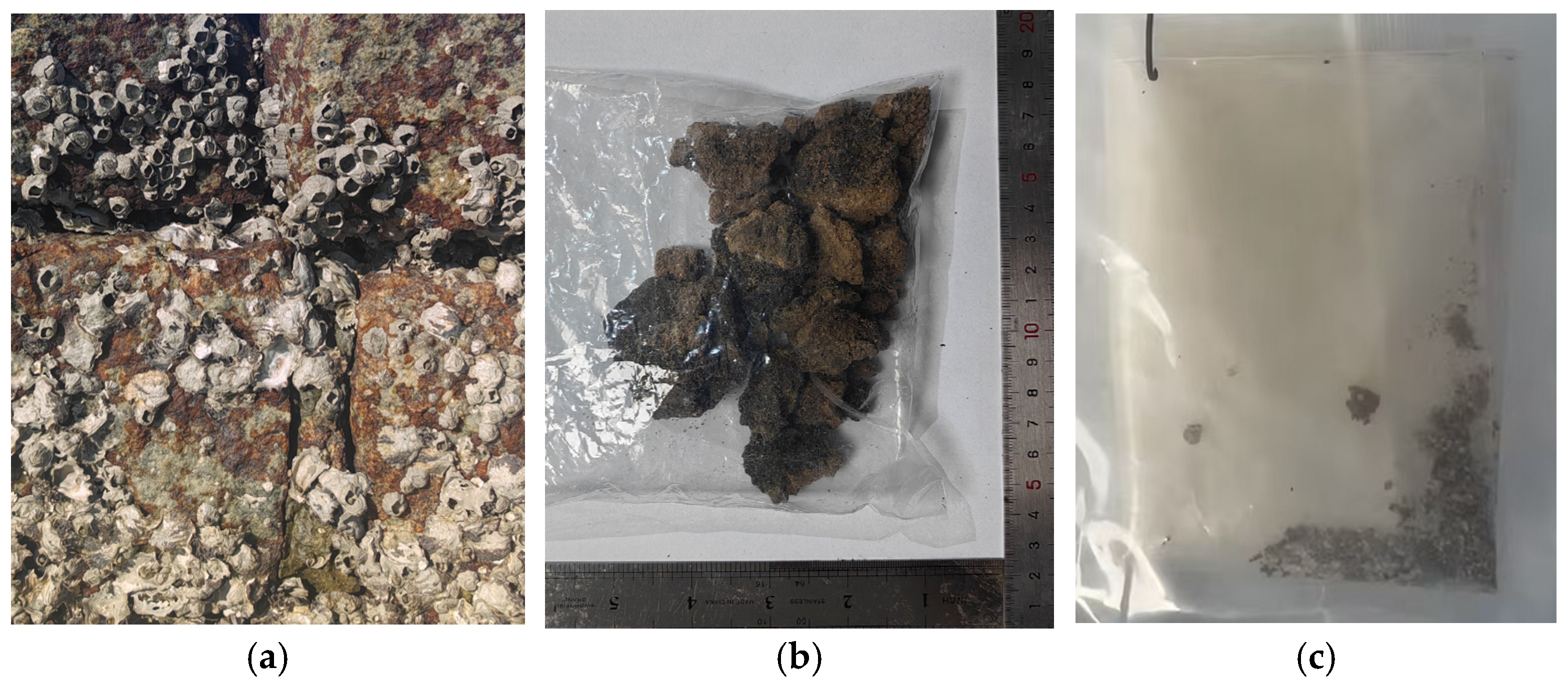 Coatings 16 00145 g003 Coatings 16 00145 g003