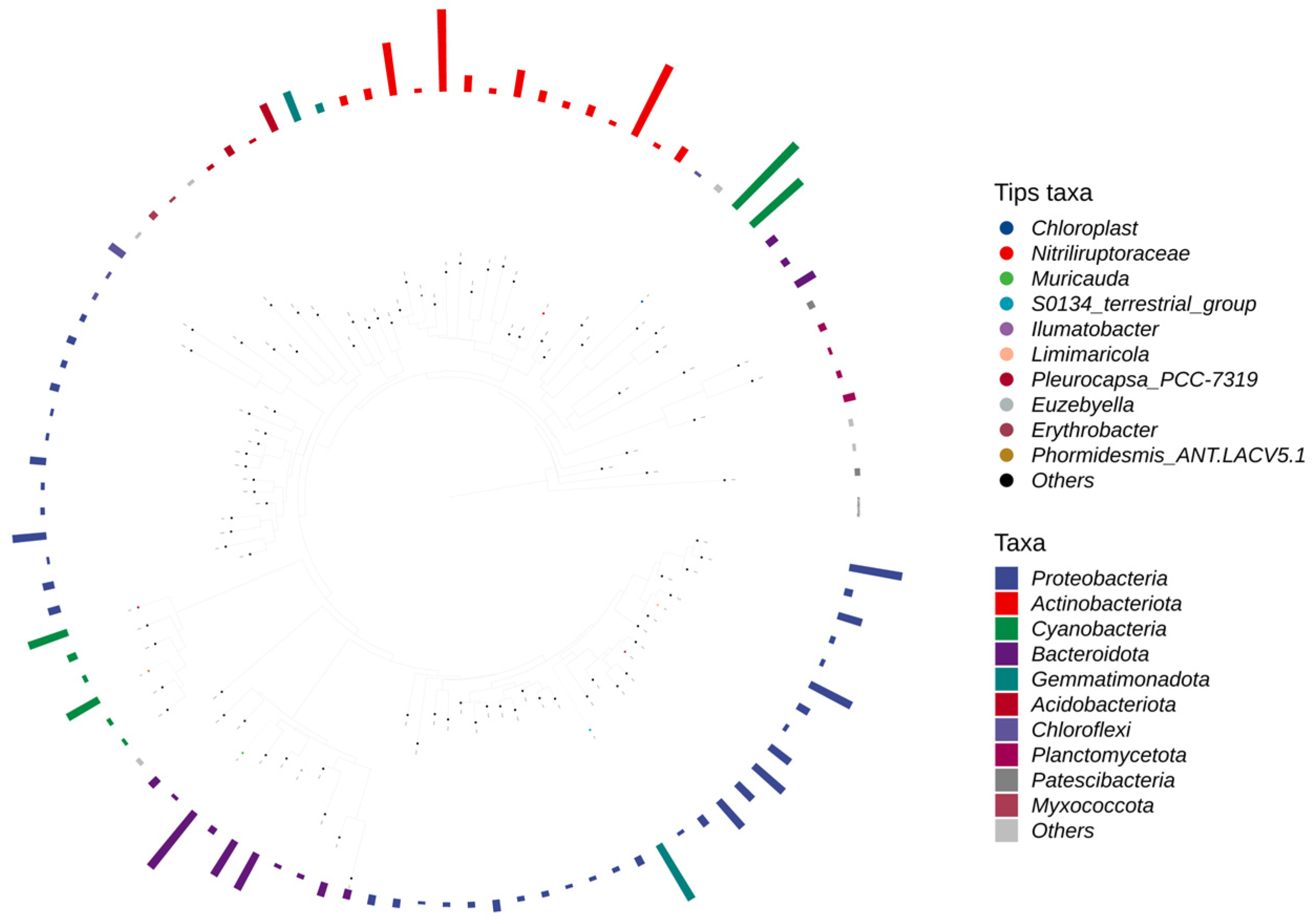 Coatings 16 00145 g011 Coatings 16 00145 g011