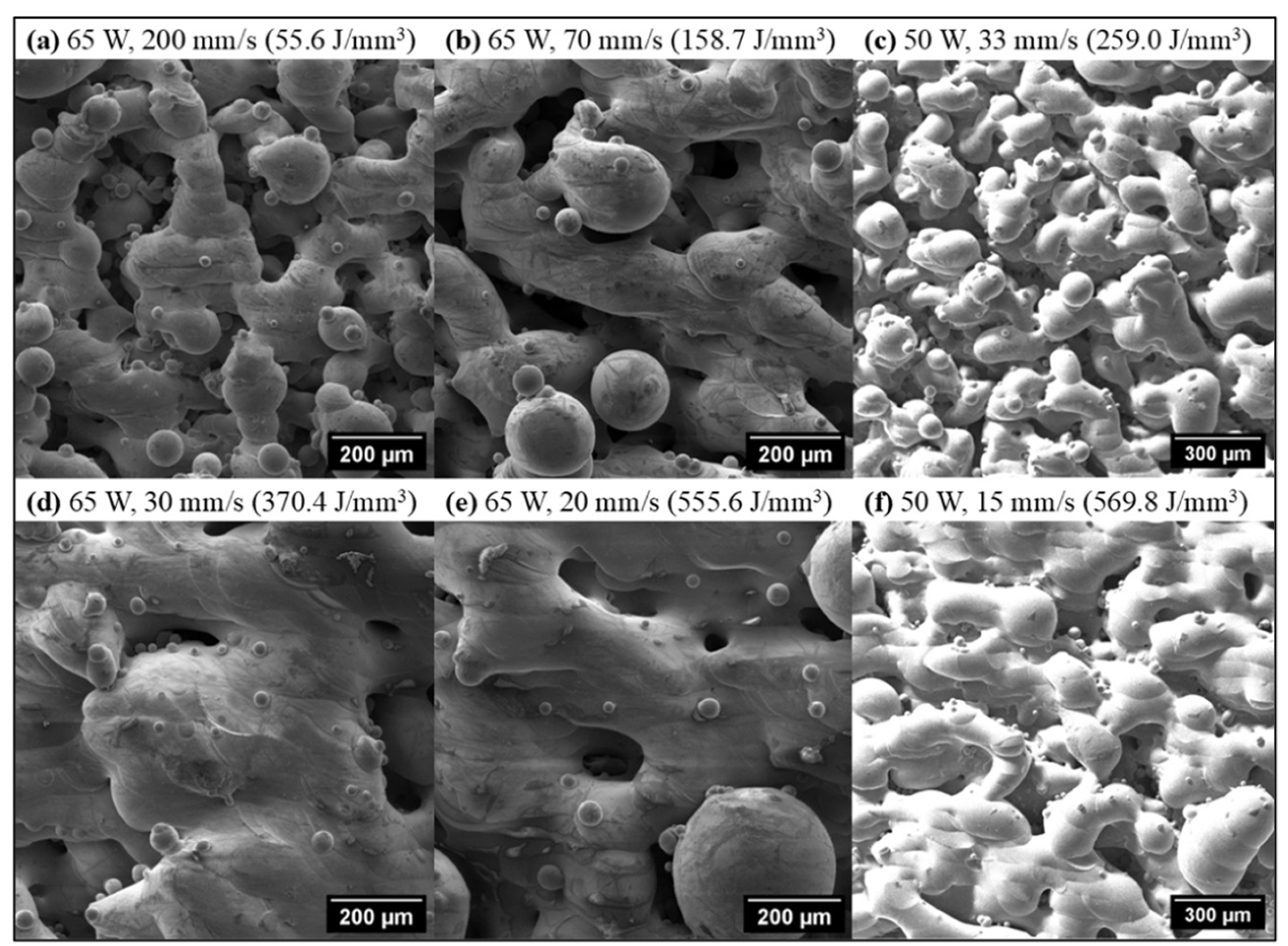 Coatings 16 00167 g005 Coatings 16 00167 g005