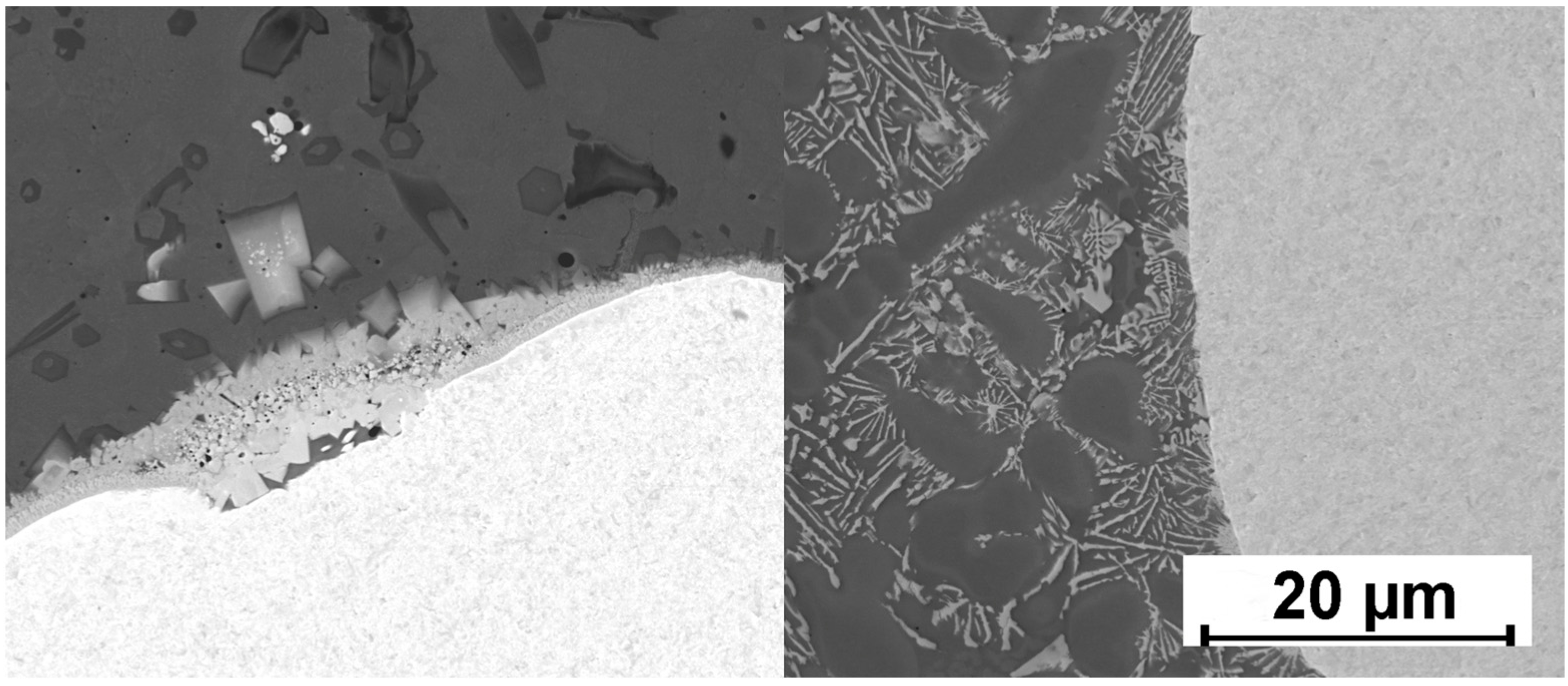 Coatings 16 00175 g016