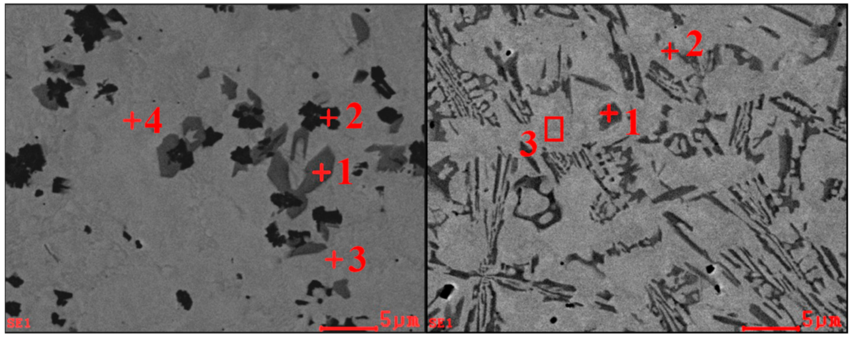 Coatings 16 00175 g017
