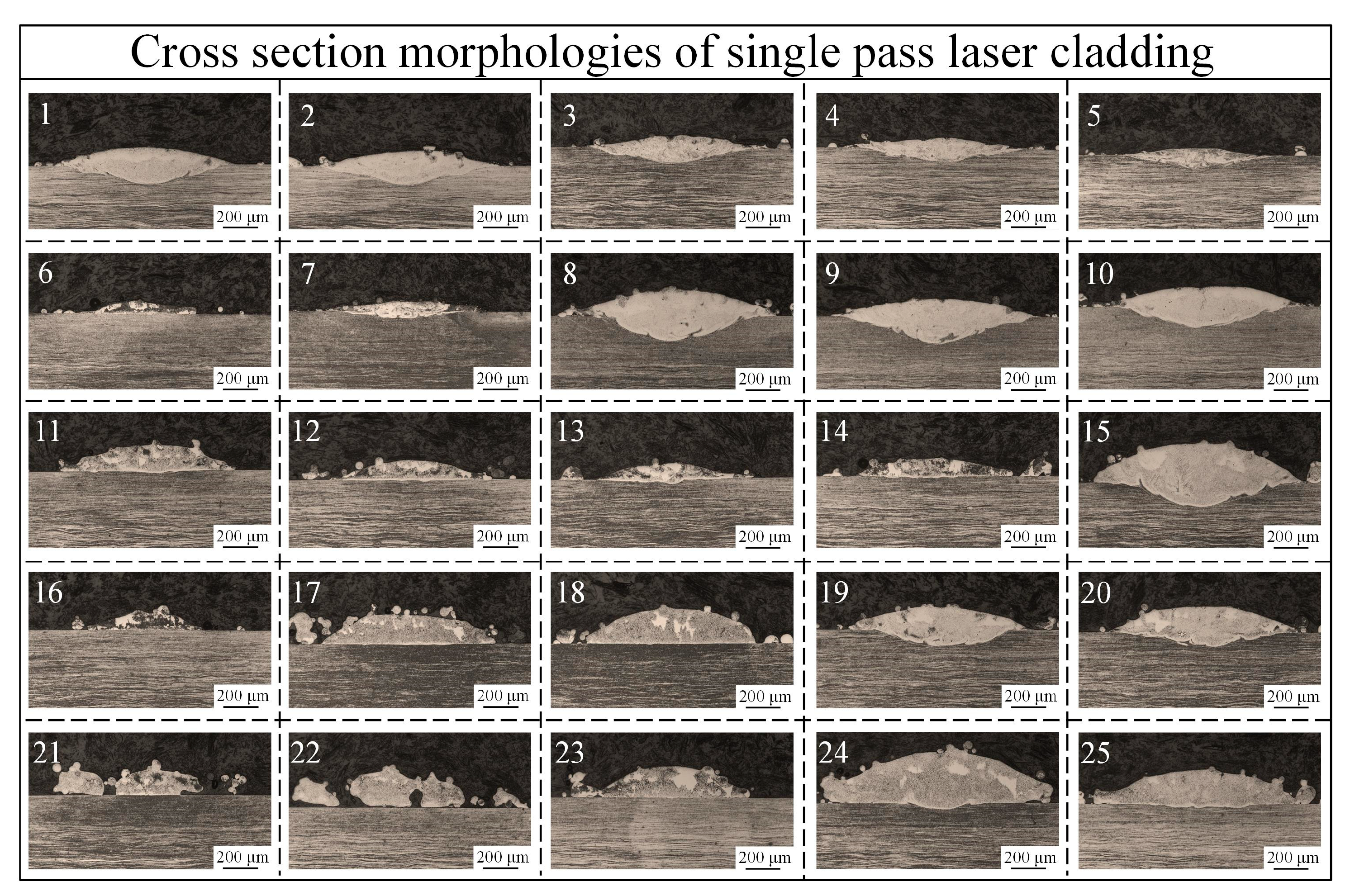 Coatings 16 00179 g005 Coatings 16 00179 g005
